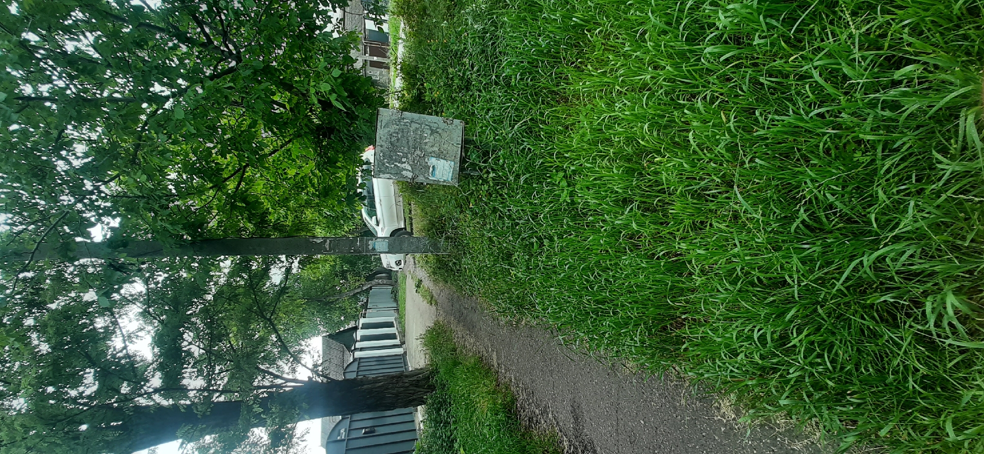 This image depicts a quiet, somewhat overcast day in a rural setting, likely Yessentukskaya, Russia. The scene is dominated by lush, green vegetation. In the foreground, a gravel path runs alongside a dense patch of tall, vibrant grass. To the left of the path, a large tree with a thick trunk and abundant green leaves provides shade. Beyond the tree, a paved road or driveway is visible, with several modern-looking, multi-story residential buildings lining its edge. Further down this road, a white car is parked. In the middle ground, near the edge of the grass and road, stands a metallic object, possibly a mailbox or a signpost, with some weathered text and images on its surface. The overall impression is one of a peaceful, suburban or village environment, with the natural elements of trees and grass taking center stage. The time of day appears to be daytime, with diffused light suggesting cloudy conditions. There are no people visible in the image, and the scene is static, implying a moment captured during a calm period. The text on the metallic object is not legible.