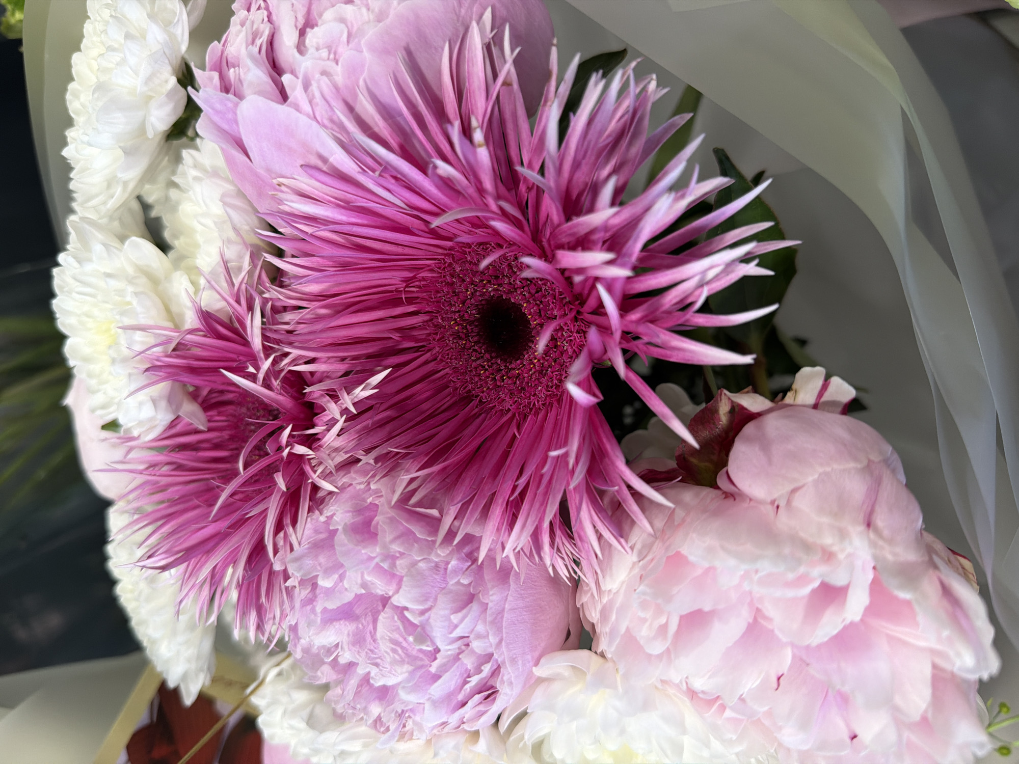 A close-up, overhead shot of a bouquet of flowers. The bouquet contains pink peonies, white chrysanthemums, and a fuchsia-colored daisy-like flower. The flowers are arranged in a loosely wrapped bouquet, with pale green tissue paper visible at the bottom right. The background is dark and out of focus, with hints of what appear to be dark green leaves and a red accent. The image is well-lit, with the colors of the flowers being vibrant.