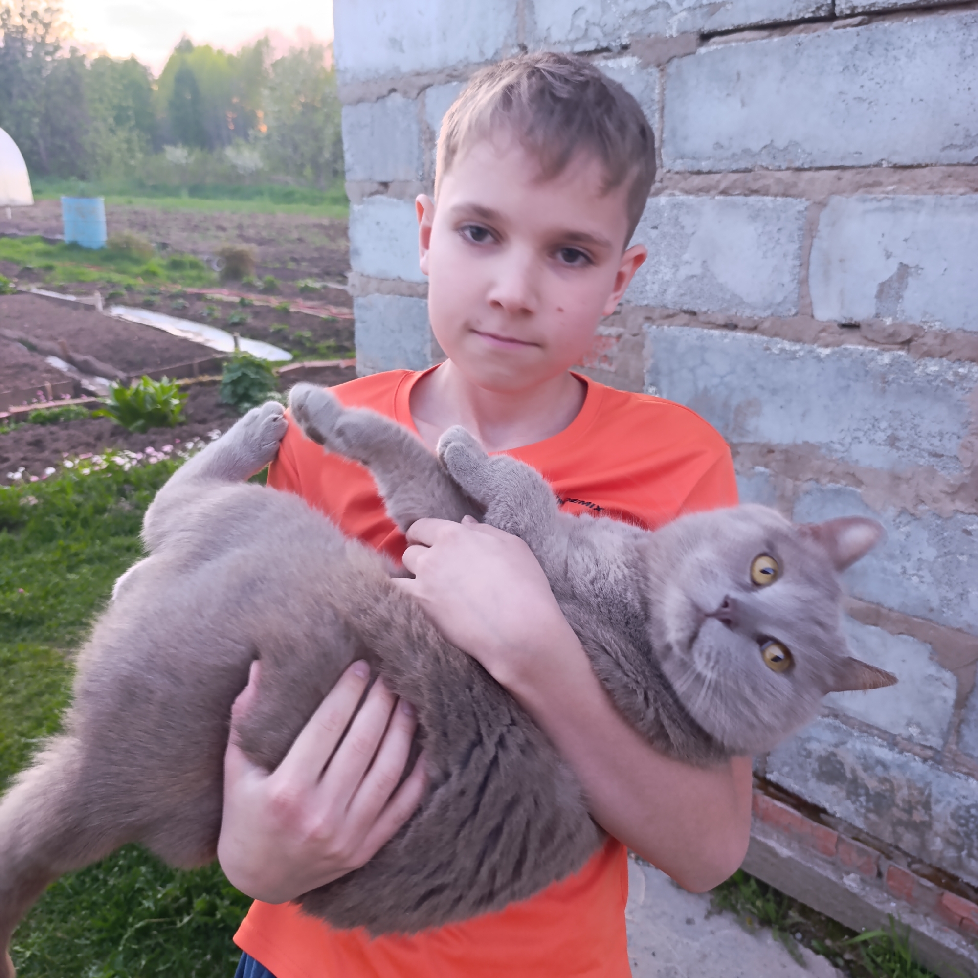 A young boy stands in front of a cinderblock wall holding a large gray cat. The boy wears an orange t-shirt. The cat has yellow eyes and its legs are splayed. Behind the boy and the wall, there is a garden area with a plastic greenhouse and what appears to be cultivated rows of plants. In the background, there are trees and the sky is overcast. The location is Dubovaya, Russia.
