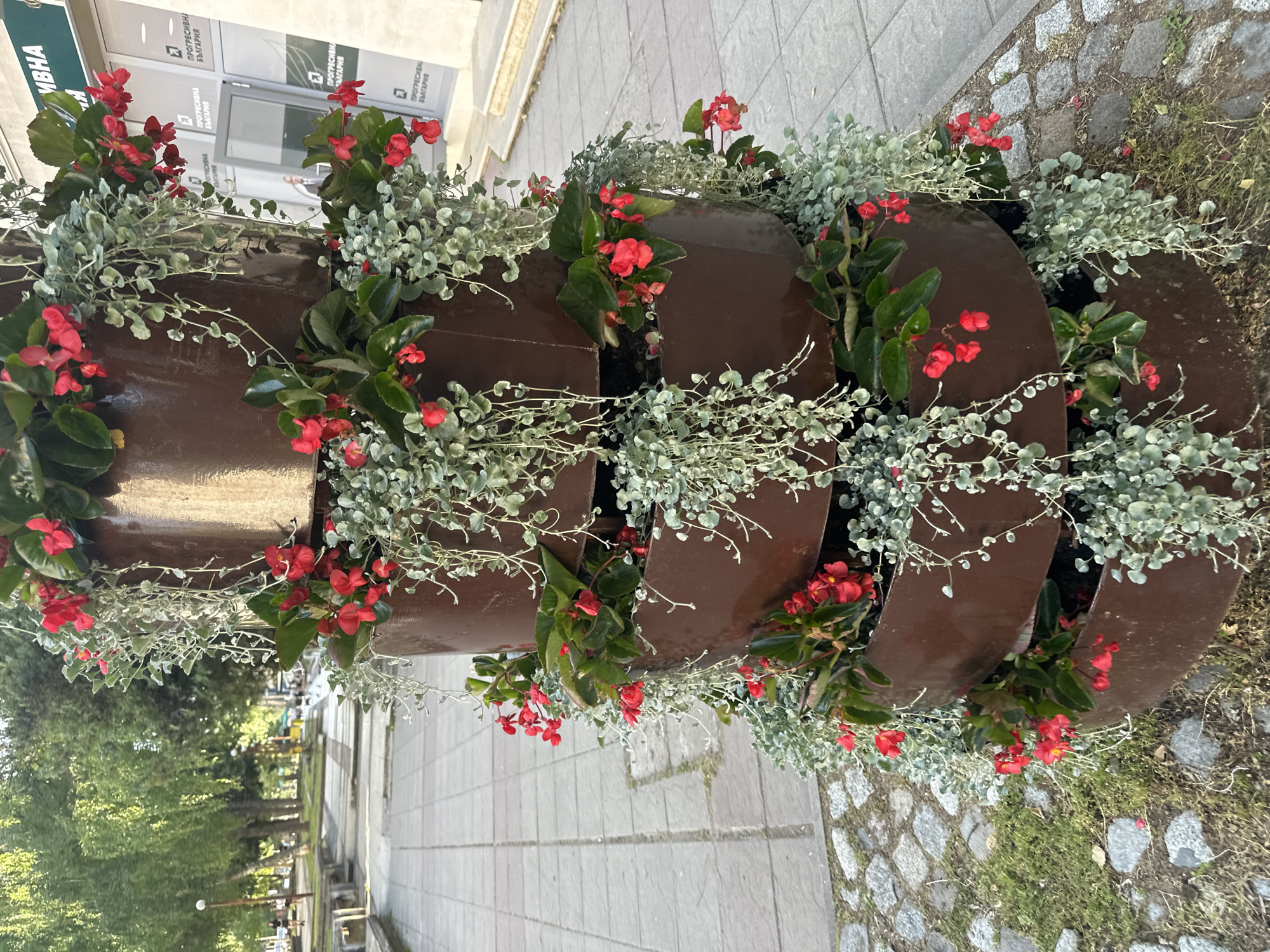 A brown, tiered, metal planter filled with red flowering plants and trailing silvery-green foliage sits on a paved surface in Montana, Bulgaria. The planter is positioned on a sidewalk or pedestrian area composed of both gray stone tiles and smaller cobblestone-style paving. Buildings are visible in the background, including one with signage in Bulgarian. A line of trees and greenery extends into the distance, indicating a park or green space nearby. The overall scene is captured in daylight.