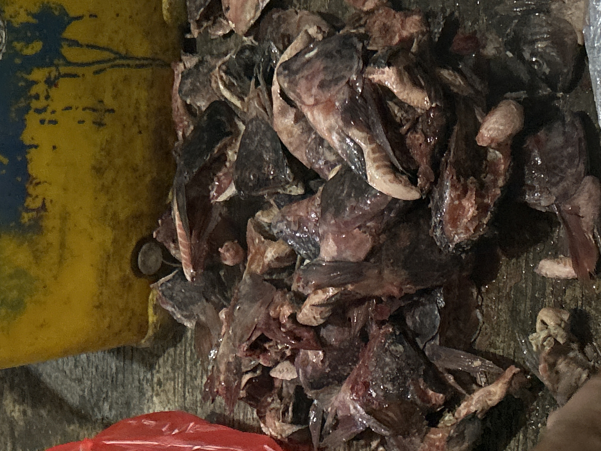 In North Jakarta, Indonesia, a pile of raw, unprocessed fish parts lies on a wet wooden surface. The fish appears to be cut into various pieces, some with scales still visible. The scene is illuminated by overhead lighting, casting shadows and highlighting the glistening moisture on the fish and the wooden planks. To the left, a portion of a bright red plastic bag is visible, and in the background, the lower section of a large yellow container with dark blue markings is present. The environment suggests a market or processing area where fish is handled.