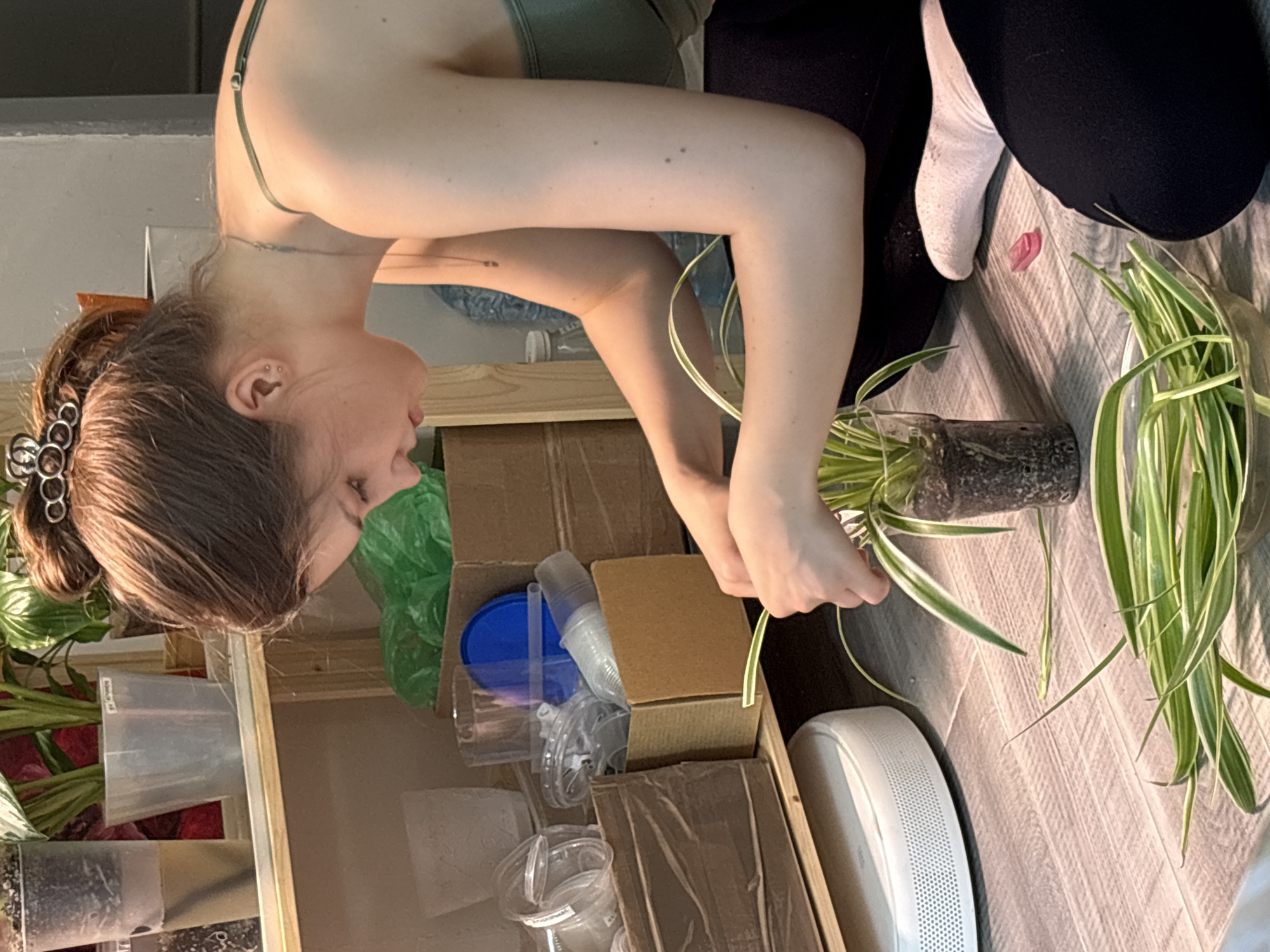 An overhead medium shot captures a young woman with dark brown hair pulled into a messy bun, adorned with a silver hair clip, engaged in a domestic task. She is positioned on a wooden floor, wearing a dark green tank top and black leggings, with white socks on her feet. The woman's focus is directed downwards as she works with a spider plant, its long, striped green leaves spread out on the floor. One portion of the plant is in a clear glass, its roots submerged in what appears to be soil and water. Another glass bowl to the left also contains some of the plant's cuttings.
Behind the woman, on a wooden shelf, a variety of items are visible, suggesting a hobby or preparation for a task. These include several clear plastic cups, brown cardboard boxes, a blue lid, and a green plastic bag. To the left of the frame, a white robotic vacuum cleaner sits on the floor. The overall environment suggests a home setting, possibly a living room or a dedicated space for plant care. The lighting is soft, with a warm glow illuminating the scene from the right. The image does not provide any specific visual cues to suggest a location in Saint Petersburg, Russia.