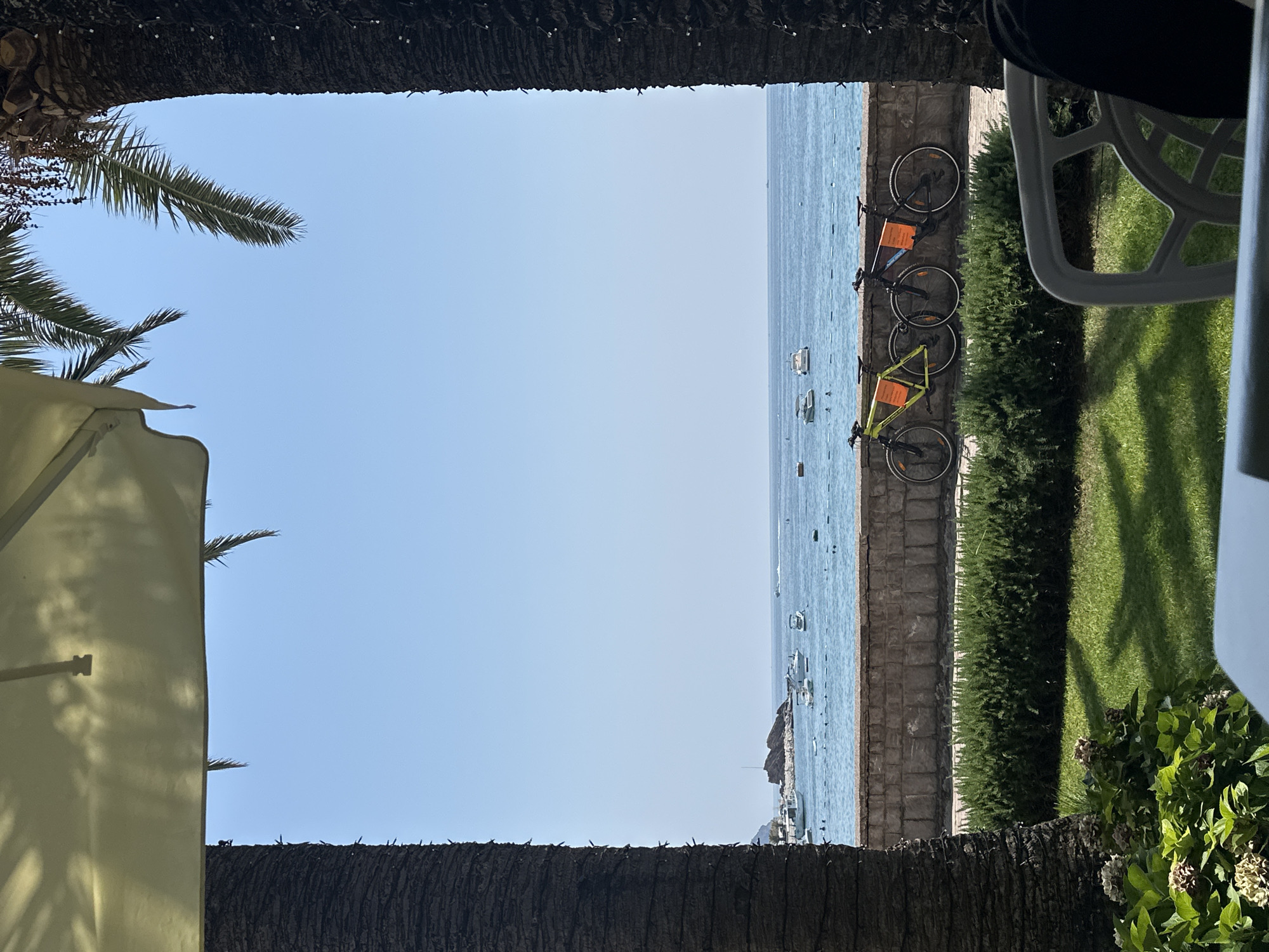 The image depicts a view of the Adriatic Sea from a shaded outdoor seating area, likely a cafe or restaurant, in Rafailovići, Montenegro. Two palm trees frame the scene, with their trunks visible on the left and right sides of the frame. A cream-colored umbrella is partially visible at the top, casting dappled shadows.
In the mid-ground, a stone wall separates a manicured green hedge from the sea. Behind the wall, three bicycles are parked. The bicycle on the left is lime green and has an orange sign on its frame. The middle bicycle is black with purple accents and an orange sign on its frame. The bicycle on the right is black with an orange sign.
The sea is a clear blue, dotted with several small boats and a distant rocky outcrop. The sky is a bright, cloudless blue, indicating a sunny day. In the foreground, a white plastic chair is visible, along with a patch of green grass and some flowering plants. A person's shoulder and arm, wearing a dark garment, are partially visible in the lower right corner, suggesting the viewer is seated and looking out at the scene.