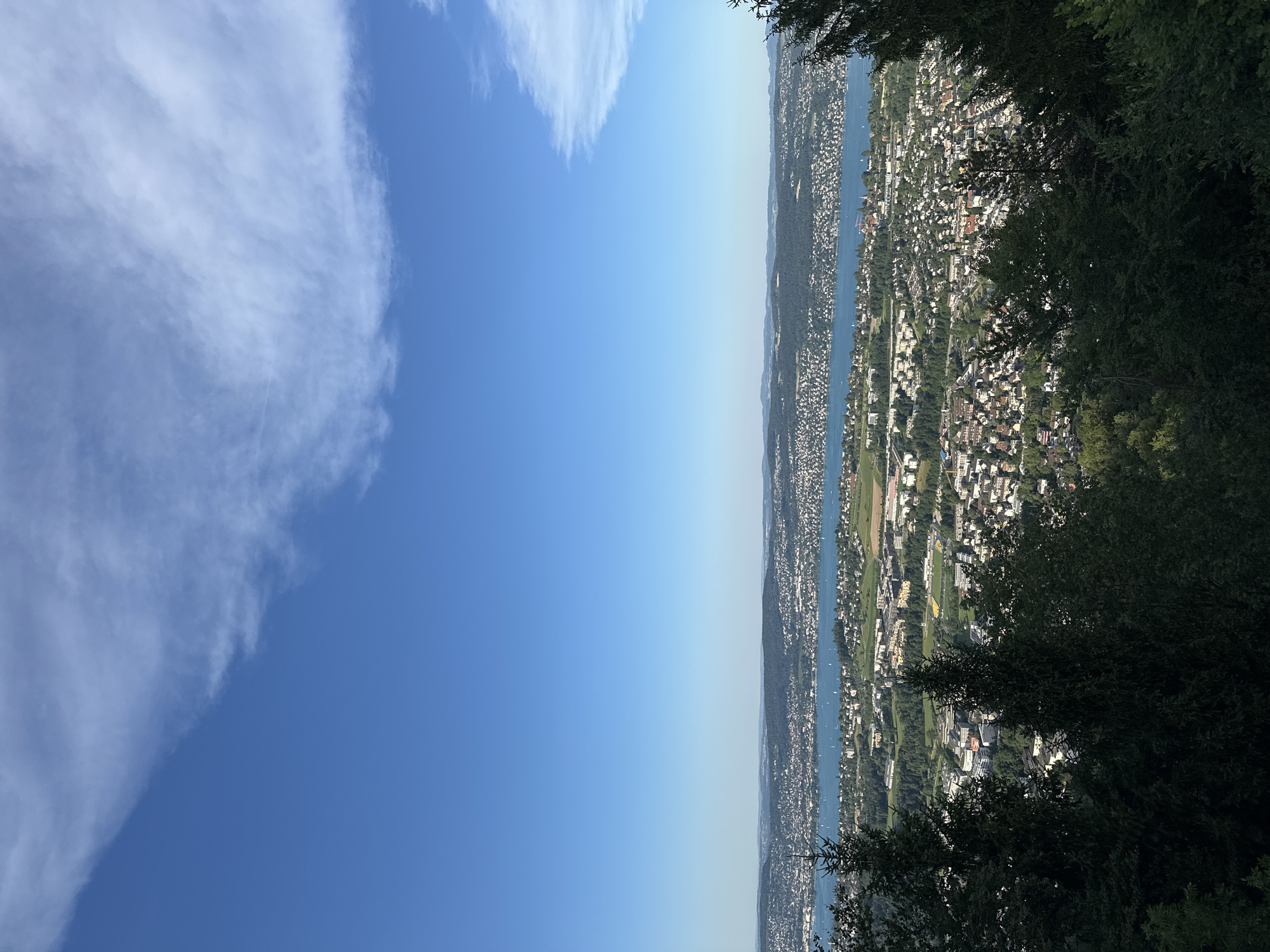 This image is a wide-angle aerial view overlooking a city and a lake, taken from a forested hillside. The sky is a clear, bright blue with scattered wisps of white clouds. In the foreground, dark green evergreen trees frame the bottom of the image.
Below the trees, a sprawling city with numerous buildings of varying sizes and colors is visible. The city extends towards a large, blue body of water, which appears to be a lake. Sailboats are scattered across the surface of the lake. Beyond the lake, rolling hills and mountains are visible in the distance, some of them covered in dark green forests and others appearing more developed with houses and buildings. The lighting suggests it is daytime, with the sun casting shadows consistent with a mid-morning or early afternoon time.
Based on the distinctive landscape of a city nestled beside a large lake with mountainous terrain in the background, this view is consistent with the area surrounding Stallikon, Switzerland, specifically looking towards Lake Zurich.