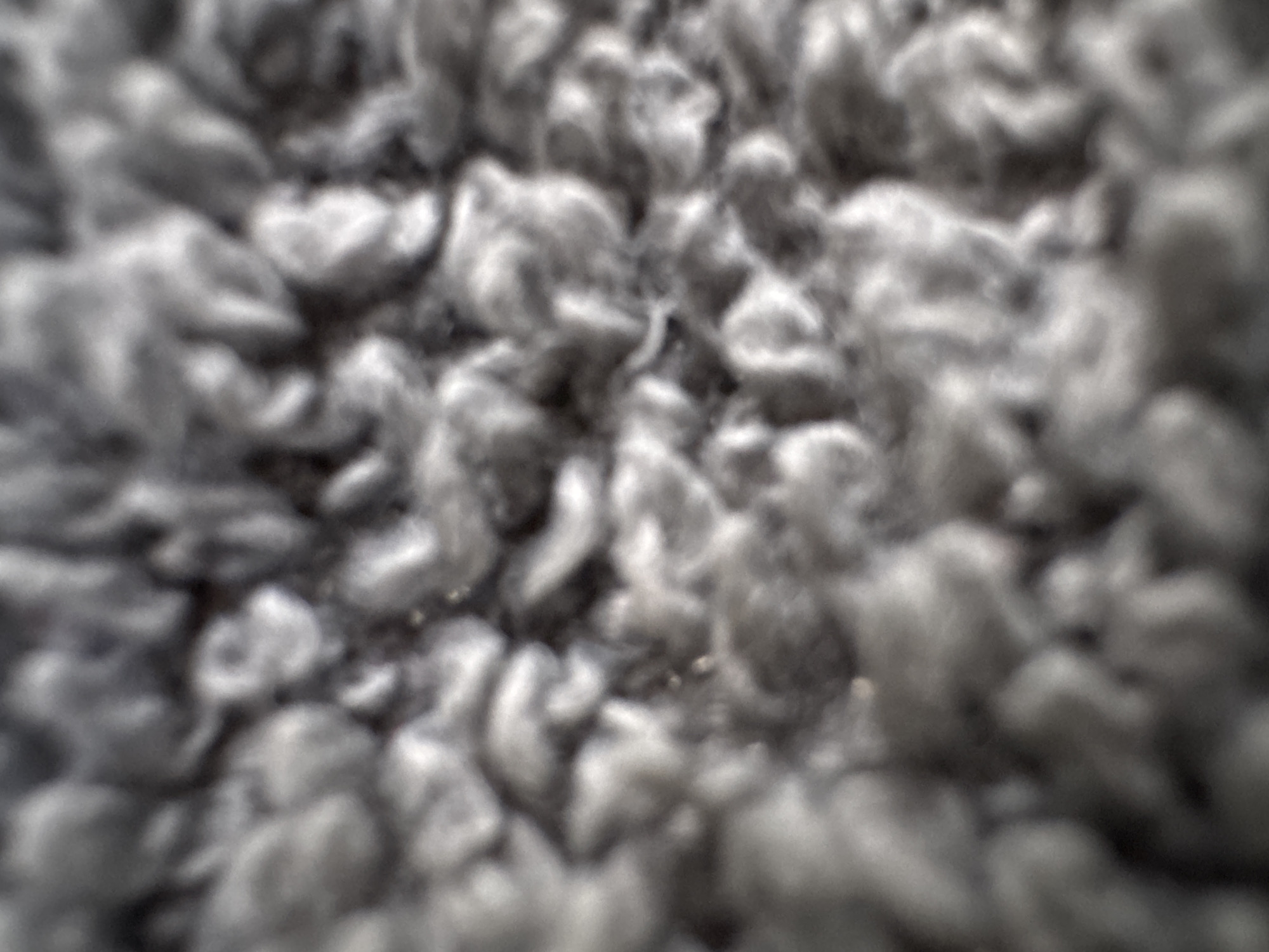 This is a close-up, abstract, and very blurry image of a grey, textured material. The focus is extremely soft, rendering any distinct subjects, objects, or scenes indistinguishable. The texture appears to be fibrous or fluffy, with organic, cloud-like shapes and shadows. There are no discernible people, activities, or events. No time of day, weather, location cues, or emotions can be identified. There is no visible text. The image is purely textural and abstract, making it impossible to provide specific details about subjects or context.