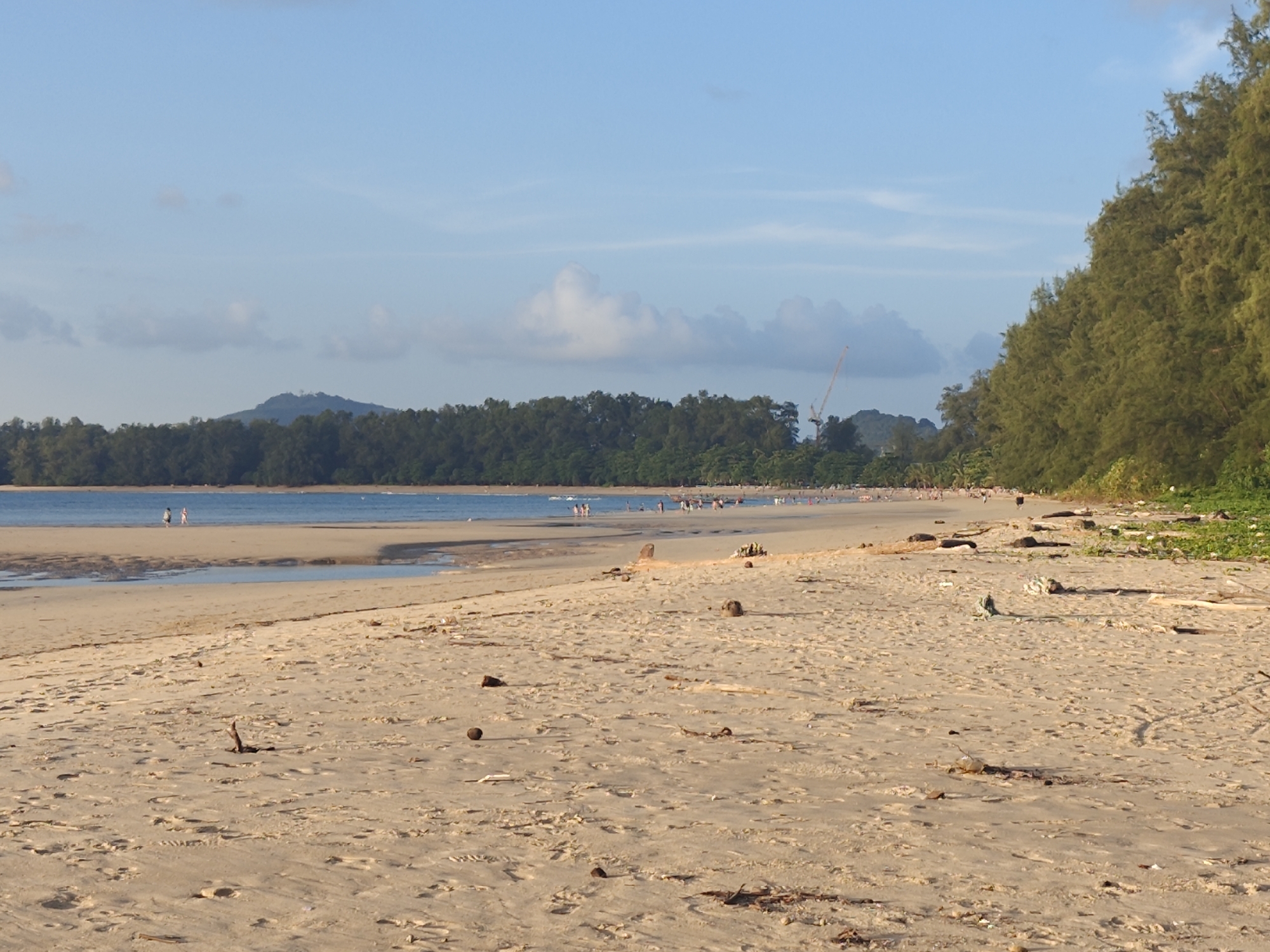 The image captures a wide expanse of a sandy beach in Sakhu, Thailand, under a pale blue sky with scattered white clouds. In the foreground, the sand is textured with footprints and littered with debris such as driftwood, palm fronds, and coconuts. The middle ground features the gentle lapping of the ocean against the shore, with shallow pools of water reflecting the sky. Several people are visible walking along the water's edge and on the wet sand. In the background, a dense line of green trees, likely Casuarina trees, forms a natural barrier along the coastline, with a prominent hill or mountain visible in the distance on the left. A construction crane is also visible against the distant treeline. The overall scene depicts a tranquil beach environment.