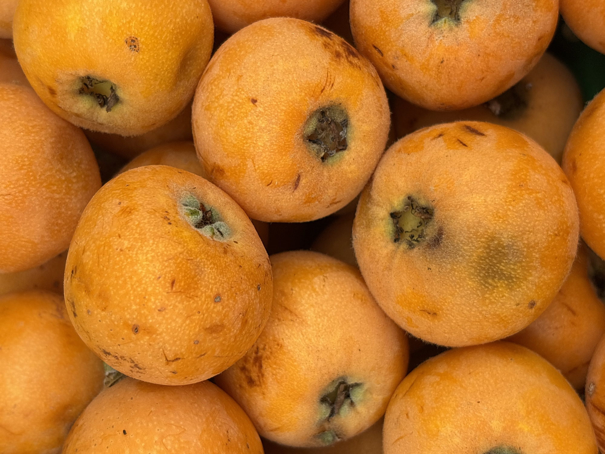 The image displays a close-up, overhead view of a pile of ripe loquats. The fruits are plump, round, and exhibit a vibrant orange hue, with some subtle variations in color indicating ripeness. Their skin appears slightly fuzzy, and small brown speckles are visible on the surface of several fruits. The calyx, the remnant of the flower, is visible as a dark, star-shaped indentation on the top of many of the loquats. The fruits are tightly packed together, creating a dense, textured arrangement. The background is a dark, indistinct color, likely a surface or shadow, which serves to highlight the loquats.
There is no indication of any specific location in the city of Sochi, Russia, or any presence of people or actions. The scene is purely a still life of fruit.