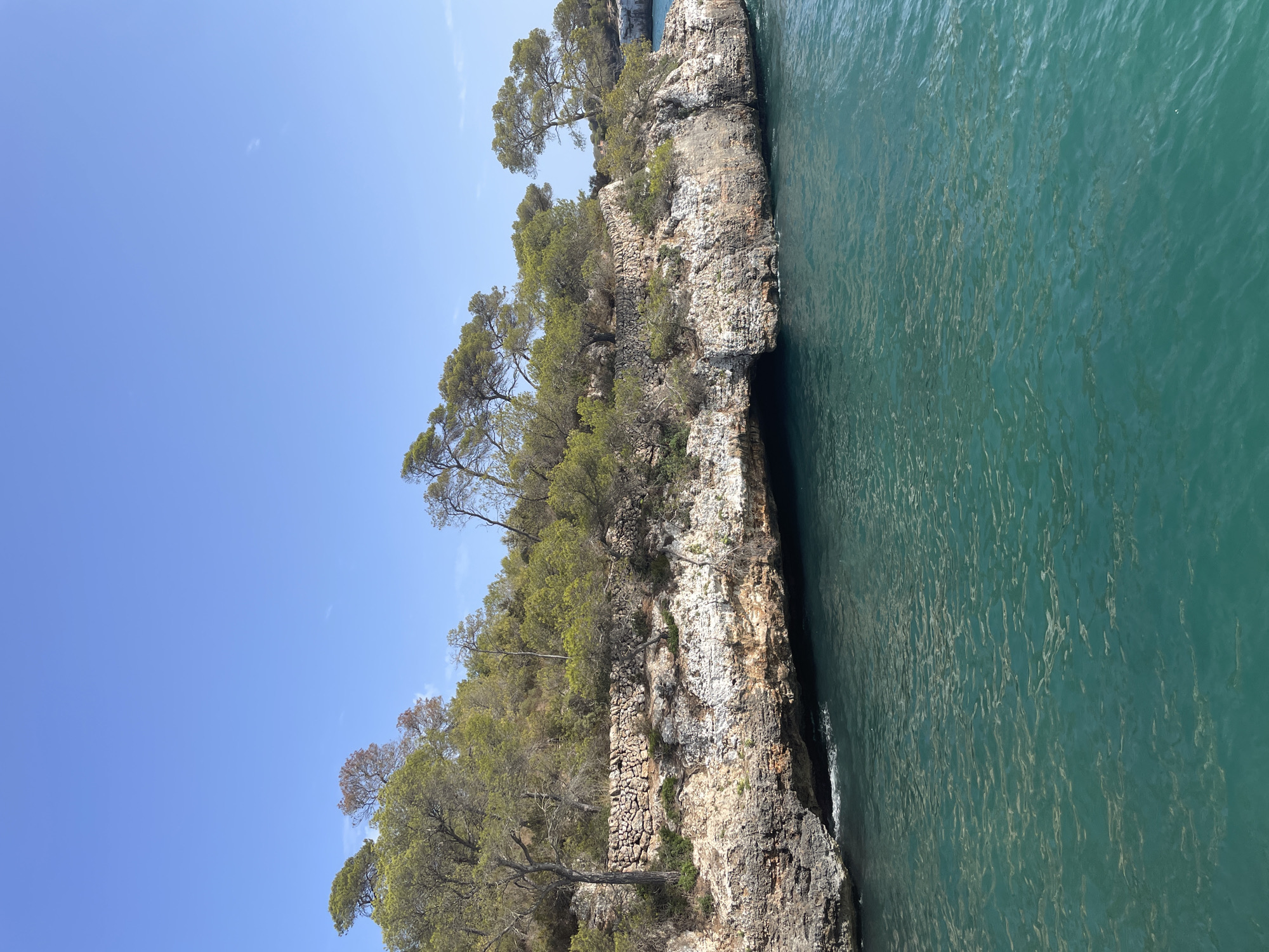 The image depicts a rocky coastline with lush vegetation and clear turquoise water. The coastline is characterized by rugged cliffs dotted with pine trees and shrubs. A dry stone wall runs along the top of the cliff in the mid-ground. The water is calm and reflects the sunlight, creating shimmering patterns. The sky is a clear, bright blue with a few wispy clouds. The scene appears to be a natural coastal landscape, likely in a Mediterranean region. This location is consistent with the coastlines found near Santanyí, Spain, known for its picturesque coves and rocky shores. There are no people or man-made structures visible in the immediate scene, other than the stone wall.