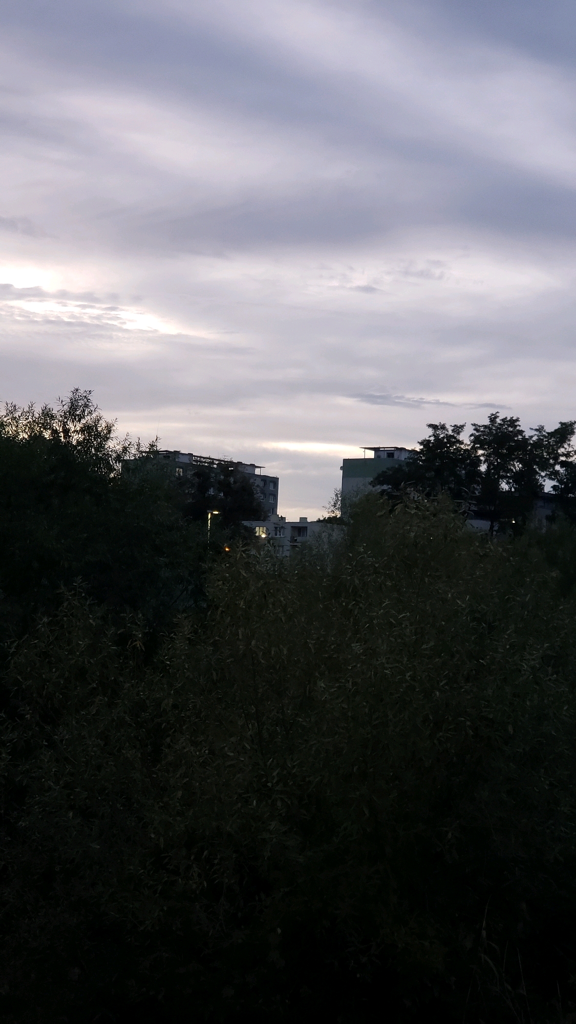 The image captures a view of residential buildings in Prešov, Slovakia, framed by dense foliage. The sky is overcast with a soft, diffused light suggesting either dawn or dusk. The foreground is dominated by dark, leafy trees and bushes, obscuring the ground level. In the middle ground, two multi-story apartment buildings are visible, with windows that appear lit in some areas. The architecture suggests a Soviet-era housing block. The building on the left is taller and more prominent, while the one on the right is shorter and partially obscured by trees. A streetlamp is illuminated near the base of the left building. The overall atmosphere is muted and tranquil.
