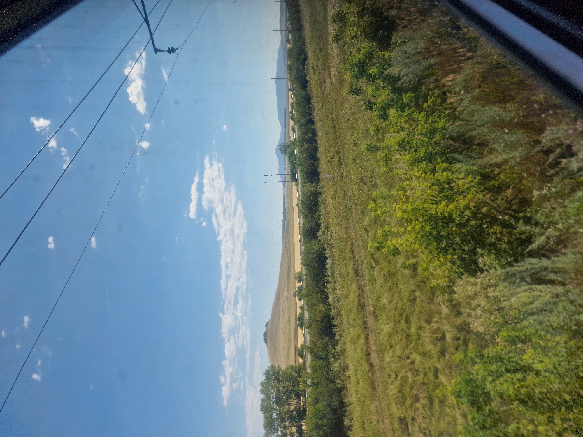 The image, taken from a moving vehicle likely a train, shows a rural landscape under a bright blue sky with scattered white clouds. In the foreground, there is dense green vegetation, including bushes and tall grass. Beyond this, a field of golden crops stretches towards a line of trees on the left. In the middle ground, a rounded hill with a dark summit is visible, and further in the distance, a range of low, blue mountains can be seen. The scene is bisected by overhead power lines, characteristic of a railway line. The location is identified as near Кенесары ауылдық округі, Kazakhstan.