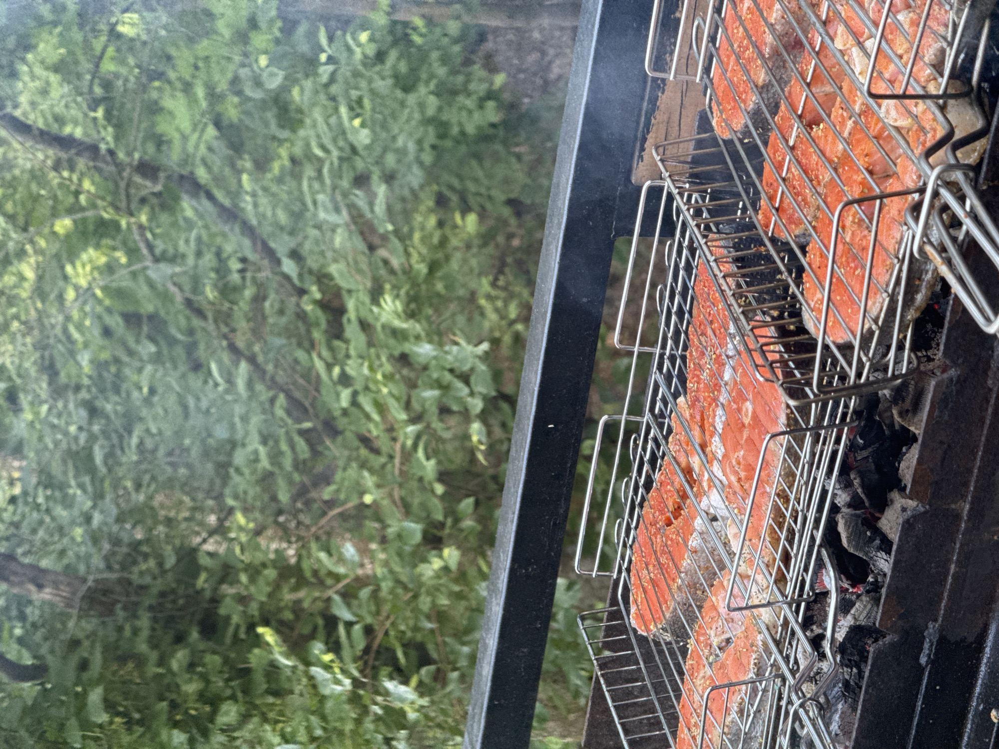 The image shows a close-up view of salmon fillets being grilled outdoors. The salmon is seasoned and placed in a metal grilling basket. The basket is positioned over hot coals, indicated by the glow and ash visible underneath. The grilling area appears to be part of a larger barbecue setup, with a black metal frame visible on the right side of the frame. In the background, out of focus, are lush green trees, suggesting a natural, possibly wooded, setting. A faint wisp of smoke rises from the grill, indicating that the cooking is in progress. The lighting suggests it is daytime, with diffused light filtering through the foliage. The overall scene evokes a sense of outdoor cooking and enjoyment. There is no visible text in the image.