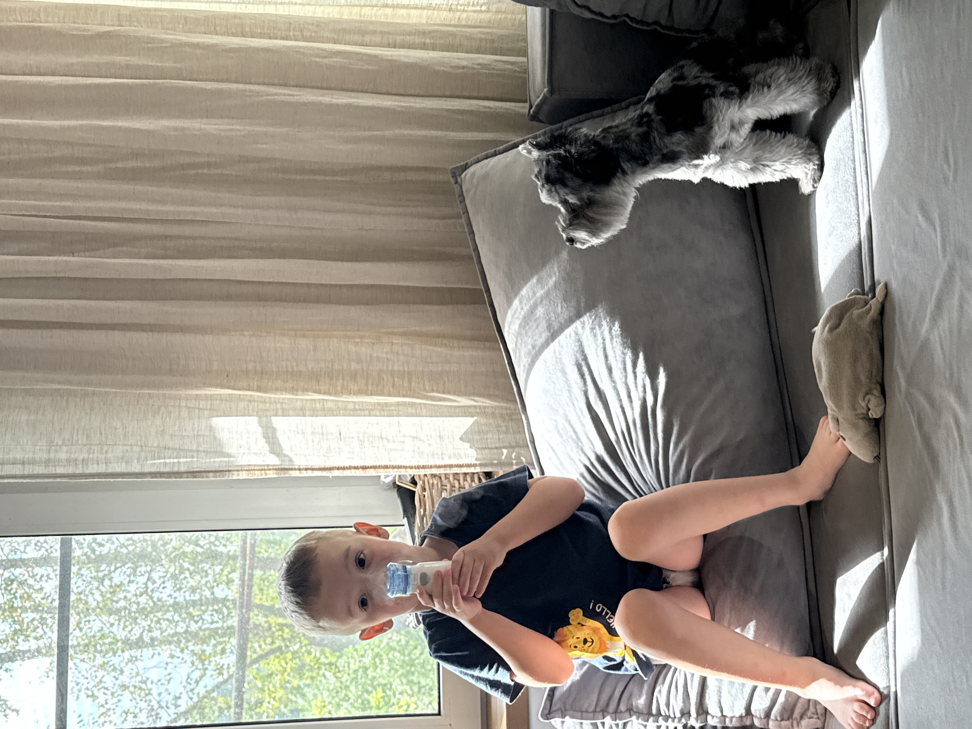 A young boy is sitting on a sofa with an inhaler, while a miniature schnauzer is looking away from him. The boy is holding the inhaler to his face, and there is a stuffed lion toy attached to his shirt. A stuffed animal lies on the sofa between the boy and the dog. The scene appears to be indoors, with a window and curtains in the background. The boy and dog are on a grey sofa, with a window behind the boy. The image does not contain any information that would indicate the location within the city of Chaikovsky, Russia.