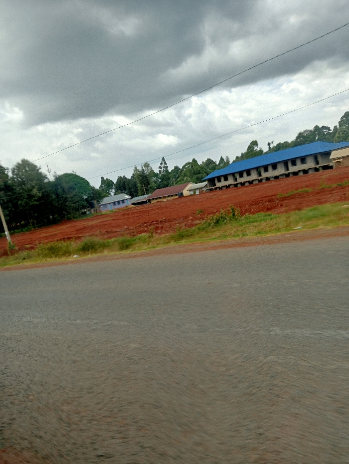 An outdoor wide shot captures a landscape under a heavily clouded, overcast sky, likely taken from a moving vehicle. In the foreground, a grey asphalt road appears slightly blurred. Immediately adjacent to the road, a strip of sparse green vegetation transitions into a large expanse of reddish-brown earth, possibly recently cleared or excavated.
In the middle ground, several buildings are visible. Most prominent is a long, multi-story structure with a distinctive blue roof, appearing to be under construction or newly built, with open window and door frames. To its left, further into the background, are smaller buildings with reddish-brown roofs, and one with a light blue wall. A dense line of green trees, including tall, slender varieties, forms a backdrop behind the buildings and extends across the left side of the image, suggesting a wooded area. Thin, dark utility lines stretch across the cloudy sky.
The scene suggests an area undergoing development or expansion, with new construction on cleared land. The predominant colors are the grey of the road and sky, the vibrant green of the trees, and the rich reddish-brown of the soil. There are no people visible, and no discernible text. The location context indicates this scene is in Karatina, Kenya.