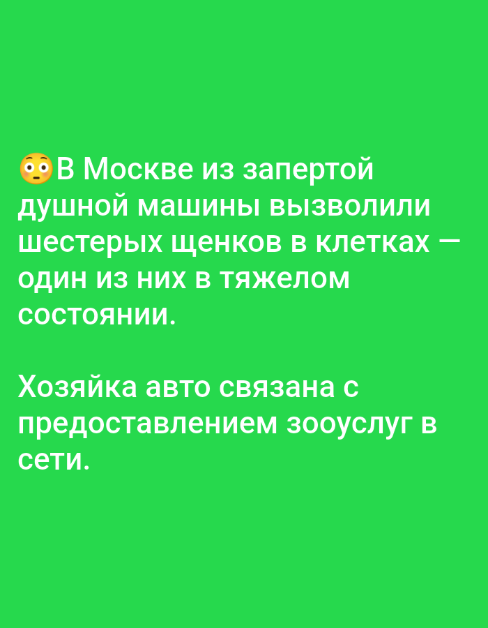 In Moscow, six puppies were rescued from a locked car. One of them is in serious condition. The car's owner is linked to the provision of zoological services online. The image is a screenshot of a news alert on a green background.