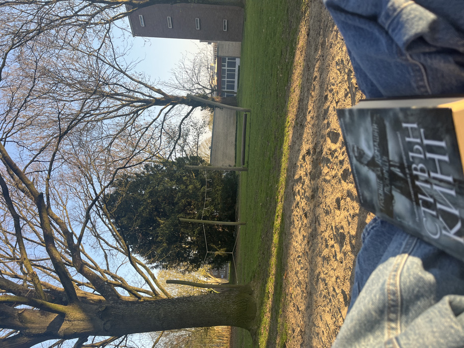 The image presents a first-person perspective from the Tapijnkazerne area in Maastricht, Netherlands, depicting an outdoor scene during late afternoon or early morning.
In the immediate foreground, the lower legs of an individual wearing blue denim jeans are visible. Resting on the lap is an open book with a dark cover, clearly displaying "СТИВЪН КИНГ" (Stephen King) in Cyrillic script, with additional text above it. The ground directly in front consists of a sandy patch, illuminated by warm, low-angle sunlight that casts elongated shadows.
Beyond the sandy area, a stretch of green grass extends into the midground. Two sets of wooden outdoor fitness equipment are situated on this lawn. To the left, four vertical wooden posts are interconnected by ropes and feature hanging rings, forming a monkey bar-like structure. Further to the right, two shorter vertical wooden posts support a horizontal wooden log, likely serving as a balance beam or low hurdle.
The background is dominated by mature trees and buildings under a clear, light blue sky. A large, thick-trunked deciduous tree with bare branches stands prominently on the left. A dense, dark green evergreen tree is centered behind the monkey bars. Another deciduous tree with bare branches is visible to the right of the fitness equipment. Several buildings line the horizon. A long, light-colored building with multiple windows is centrally located. To the far right, a distinctive red brick building features a tall, narrow section with several small, rectangular windows stacked vertically. The overall lighting suggests late winter or early spring due to the bare deciduous trees and the quality of the sunlight.