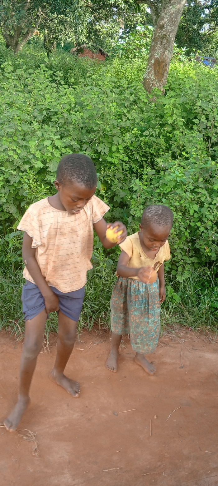 Two young children stand barefoot on a reddish-brown dirt path in Ngalula, Democratic Republic of the Congo, facing slightly left of the viewer. The older child, positioned on the left, wears a light orange horizontally striped short-sleeved shirt and dark blue shorts, appearing to hold a spherical yellow-skinned fruit in their right hand, with their gaze directed downward. The younger child, on the right, wears a light yellow t-shirt with visible tears and a patterned skirt featuring green, blue, and orange hues, with their gaze also directed downward toward their hands or the ground.
The immediate background is filled with dense, lush green foliage comprising various shrubs and trees. A prominent tree trunk with light-colored bark is visible behind the children to the right. Further in the background, partially obscured by the extensive greenery, is a structure with reddish-brown walls, possibly constructed from brick or mud. The ground is clear of significant debris apart from sparse dry grass and small, dark organic matter.