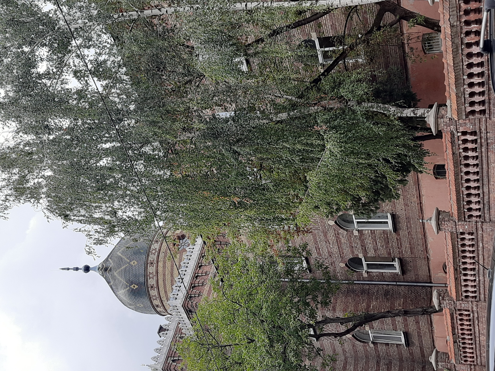 The image shows a view of the exterior of the Great Choral Synagogue in Lviv, Ukraine, on an overcast day. The synagogue is a large brick building with a distinctive dome topped with a finial. The dome is covered in patterned tiles and features decorative elements. The building has arched windows and a decorative parapet along the roofline. A red brick fence with ornate railings runs in front of the building, separating it from the viewer. Several trees with green foliage are visible in the foreground, obscuring parts of the building. Power lines are also present in the image, crisscrossing in front of the trees and building. The overall impression is one of an architectural landmark viewed from the street, with natural elements partially obscuring the structure.
