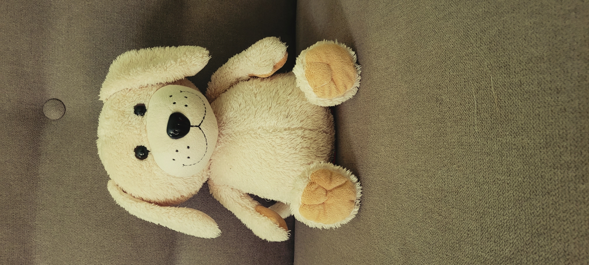 A stuffed toy dog sits on a textured gray couch. The dog is light beige with black eyes, a black nose, and embroidered whiskers. Its ears are long and floppy. The dog's paws are a lighter tan color with embroidered paw pads. The couch has a circular indentation with a button in the upper portion of the background. The scene appears to be indoors, likely in a residential setting. The overall lighting is dim.