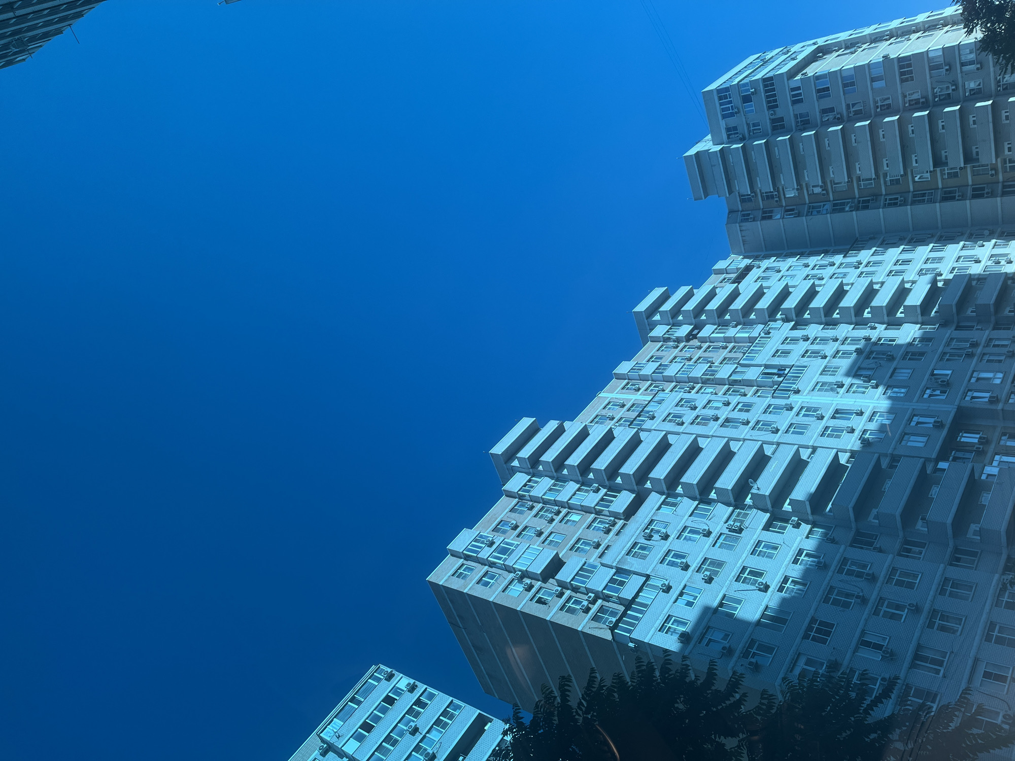The image captures a low-angle upward view of multiple high-rise residential apartment buildings against a clear, deep blue sky in Krasnodar, Russia. The sky, devoid of clouds, occupies approximately the upper two-thirds of the frame and exhibits a uniform, saturated blue hue, indicating bright, clear daytime conditions.
The buildings themselves display a distinct cool blue-cyan color cast over their facades, though the underlying construction appears to be light-colored brick or stucco with concrete elements for balconies. They are multi-story structures featuring numerous windows and multiple vertically stacked balconies, many of which are equipped with exterior-mounted air conditioning units, a prominent recurring detail across all visible building sections.
From left to right, a partial view of a building's upper floors is seen on the far left. A larger, central building dominates the mid-left portion of the lower frame, showcasing numerous windows and staggered balconies. To its right, another similarly styled, possibly taller building, is visible, also replete with windows, balconies, and air conditioning units. A small segment of a fourth building's upper corner is visible on the far right edge.
Dark green, dense foliage, likely from trees, is partially visible in the lower-left corner, obscuring the base of the central building, and a smaller patch is present in the lower-right foreground. A thin, dark utility wire stretches horizontally across the upper-right quadrant of the sky, above the taller building. No people or observable actions are depicted in the scene.