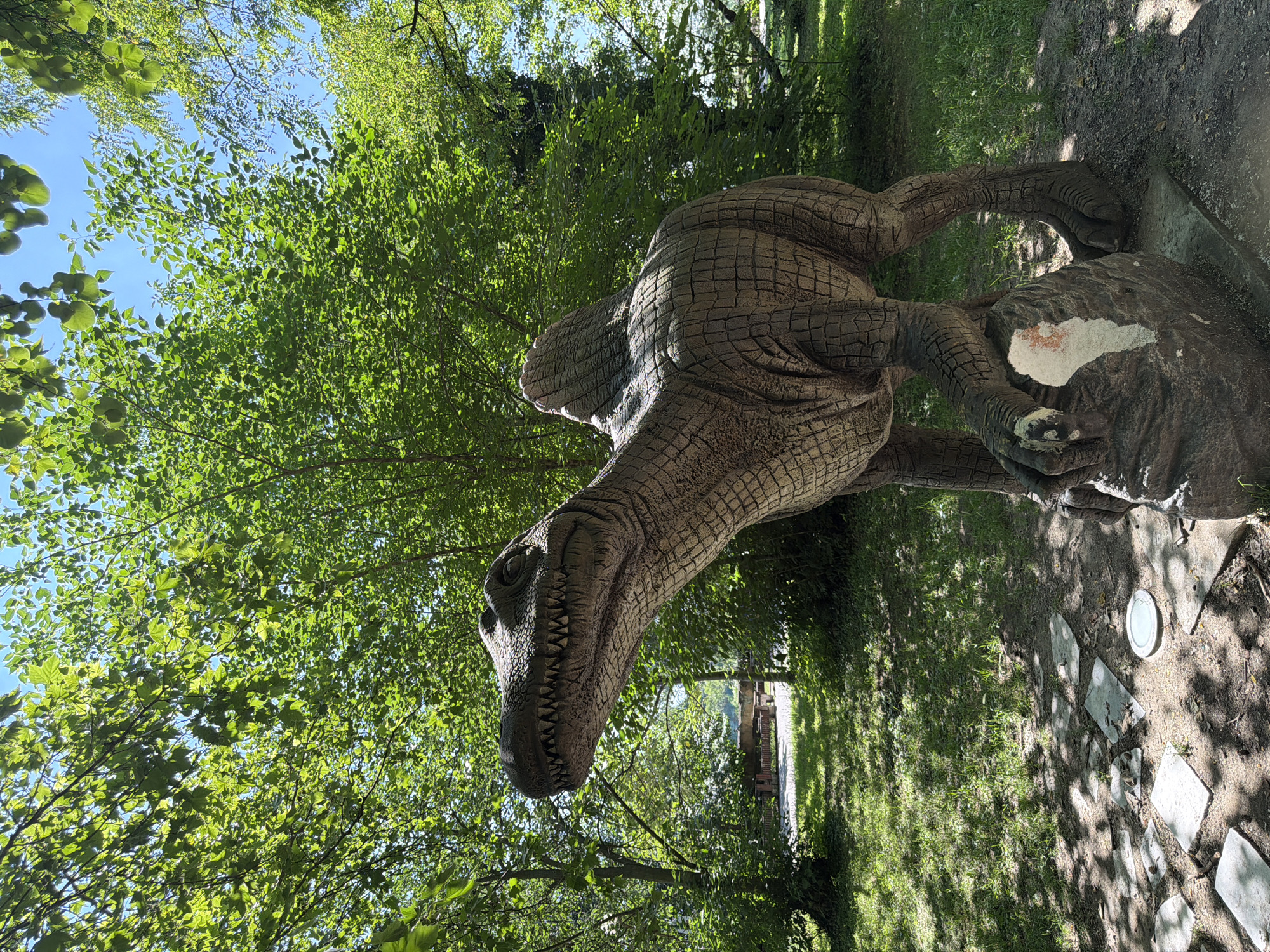 The image shows a stone sculpture of a dinosaur, likely a Spinosaurus due to its prominent sail-like structure on its back. The sculpture is situated in a park or outdoor exhibition area, surrounded by lush green trees and grass. The dinosaur sculpture is textured to resemble scales and is posed with its head raised and mouth open, displaying sharp teeth. It stands on a rock, with its forelimbs resting on it. The ground around the sculpture is covered with dirt and some paving stones. In the background, more trees and foliage are visible, with hints of sunlight filtering through the leaves, creating dappled shadows on the ground. This dinosaur sculpture is part of the Pazardzhik Dinosaur Park, located in the city of Pazardzhik, Bulgaria.