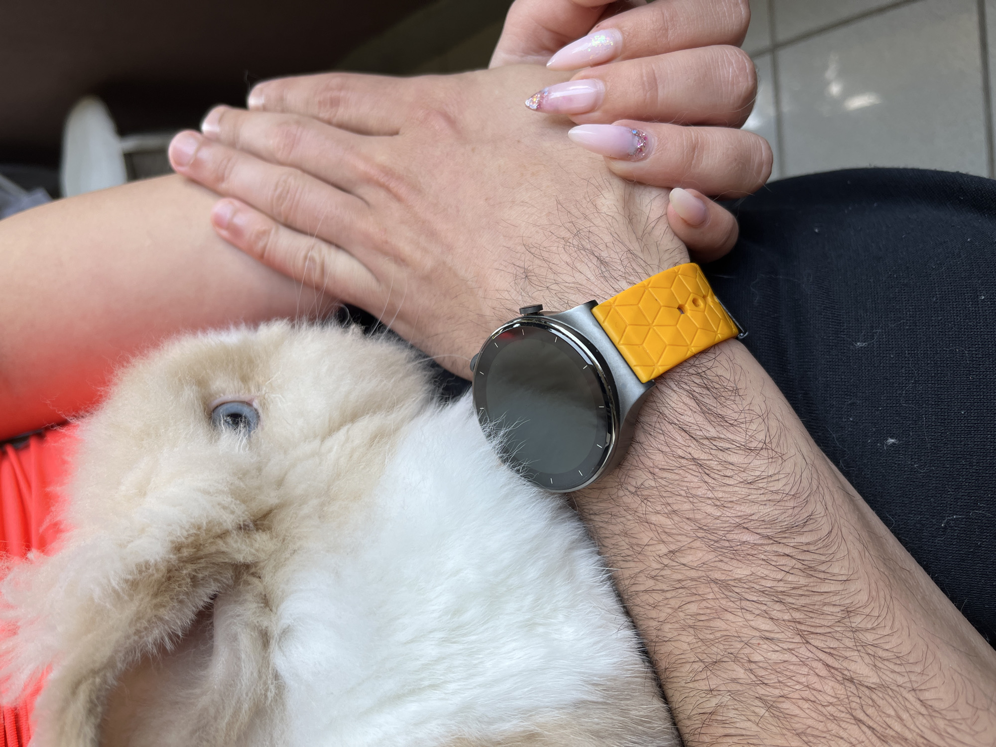 A close-up shot shows a fluffy, light brown and white rabbit being held by a person. The rabbit's blue eye is visible. The person's arm, adorned with a watch with a silver bezel and an orange textured strap, is also in the frame. The person's hand, with long, manicured nails decorated with glitter and rhinestones, is resting on the rabbit. The background is blurred, but appears to be an indoor setting. There is no discernible information about the location in Sofia, Bulgaria.