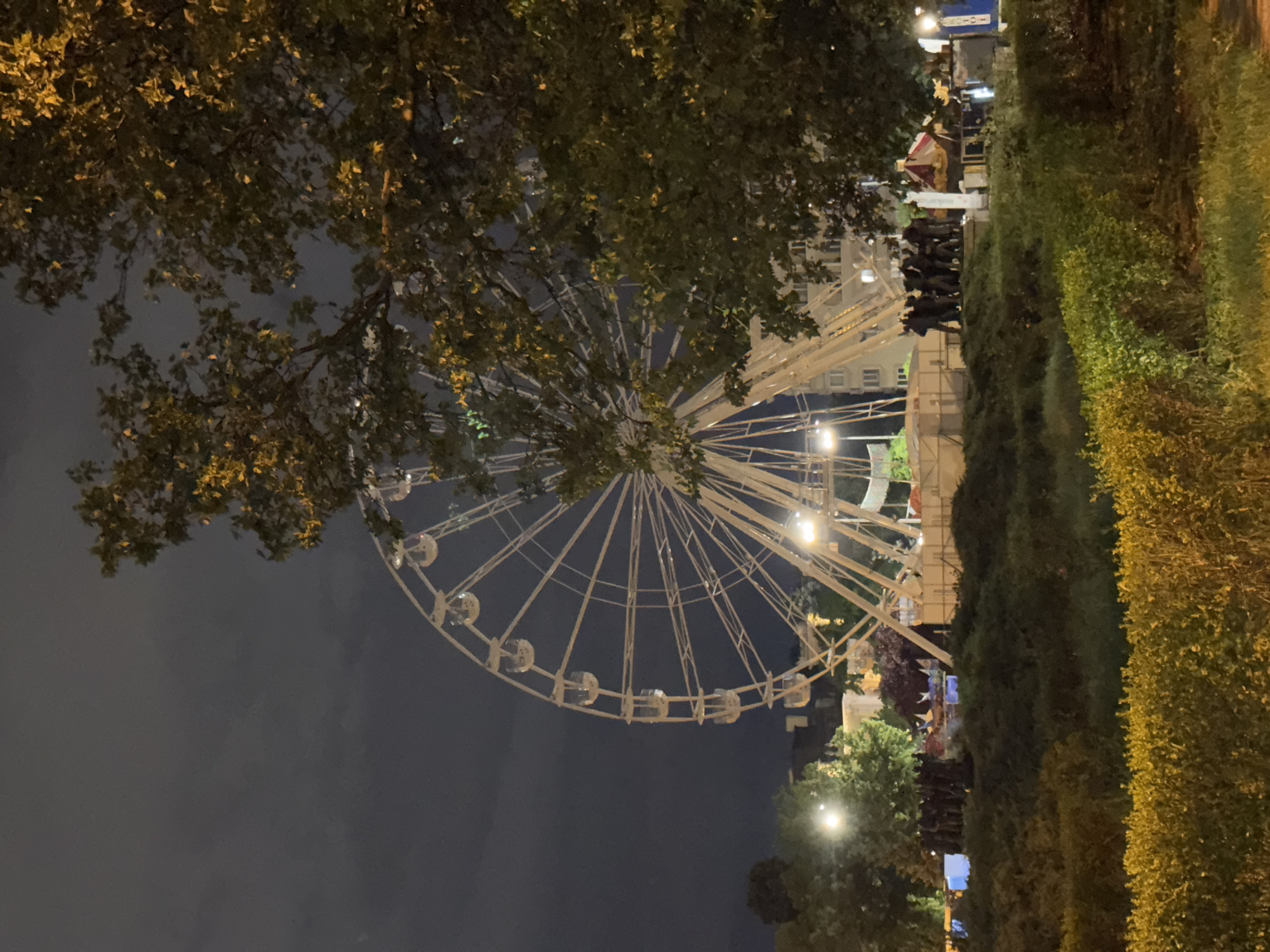 A nighttime scene captures a large Ferris wheel, brightly lit, against a dark sky in Sofia, Bulgaria. The white structure of the Ferris wheel, complete with numerous gondolas, dominates the center of the image. The top and left portions of the wheel are partially obscured by the dark, leafy branches of a large tree, whose foliage is subtly illuminated by ambient light.
Along the right side of the frame, a dense, green hedge extends vertically, creating a visual barrier. Towards the bottom right, other trees and bushes are visible, also dimly lit. Near the base of the Ferris wheel, a gathering of people can be seen as dark silhouettes, suggesting an event or attraction area. They appear to be queuing or observing. Adjacent to the crowd, a white rectangular sign is visible, displaying the text "makursen" at the top and "SOFIA" below it. Behind the people and sign, a striped tent or stall is partially visible.
The overall setting appears to be an outdoor entertainment or fairground area, operating after dark. The artificial lighting from the Ferris wheel and other sources illuminates the scene, highlighting the structures and foliage.
