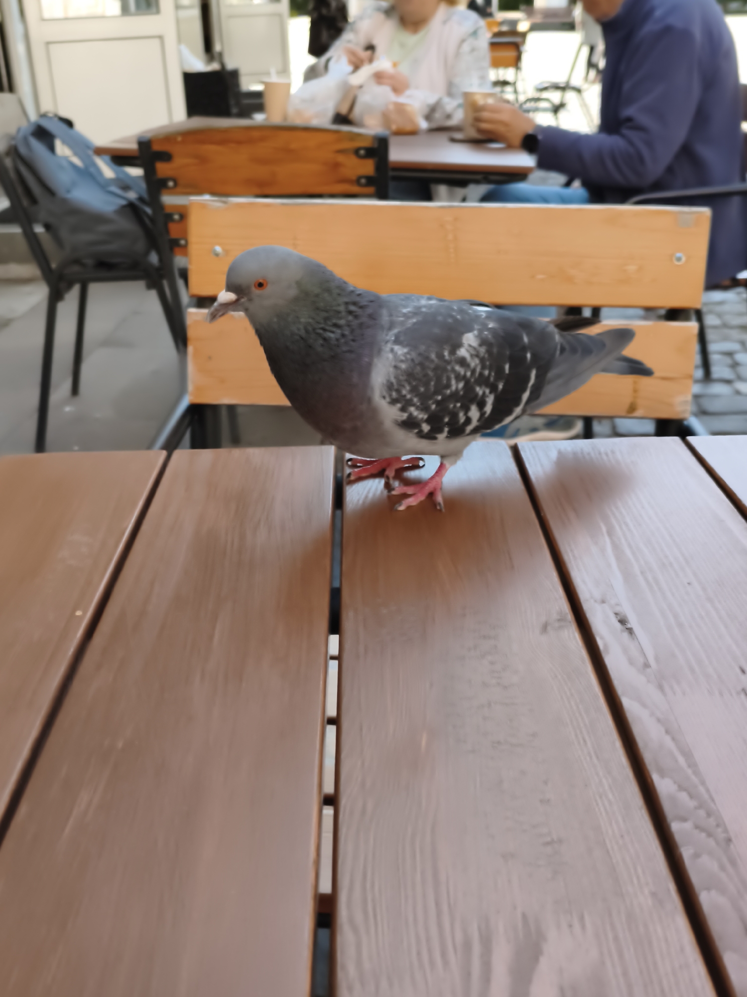 A pigeon with gray and white feathers and orange eyes stands on a brown wooden table outdoors. The pigeon is in the foreground and is looking to the left. In the background, two people are seated at a table, and a black backpack is visible on a chair. The environment appears to be a cafe or restaurant seating area.