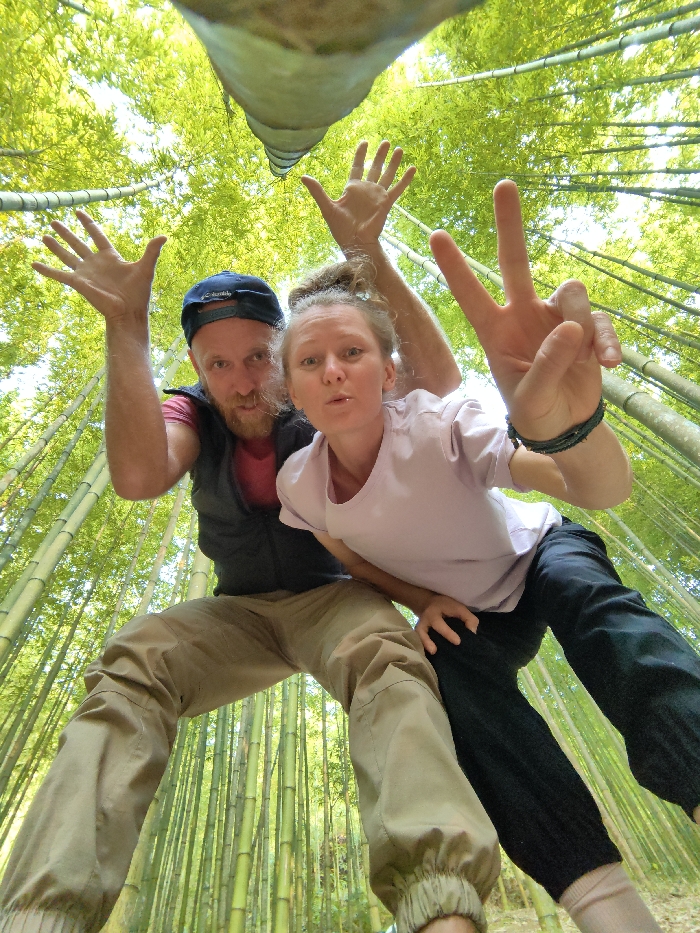 The image displays two individuals, one male and one female, posing for a low-angle photograph within a dense bamboo forest, likely situated in Mù Cang Chải, Vietnam.
The male, positioned on the left, has a beard and wears a dark blue baseball cap backward, a dark vest over a red shirt, and light brown pants. His arms are raised with open hands and splayed fingers, and he has a wide-eyed expression with a slightly open mouth.
The female, positioned on the right and slightly behind the male, has light hair tied back and wears a light purple t-shirt and dark pants. Her right hand is raised, forming a two-finger "peace" sign. Her mouth is pursed, and she also looks directly at the camera.
The background consists entirely of numerous tall, slender green bamboo stalks extending vertically, with a bright, lush green bamboo canopy visible overhead, illuminated by natural light. The ground is not visible from this low perspective.