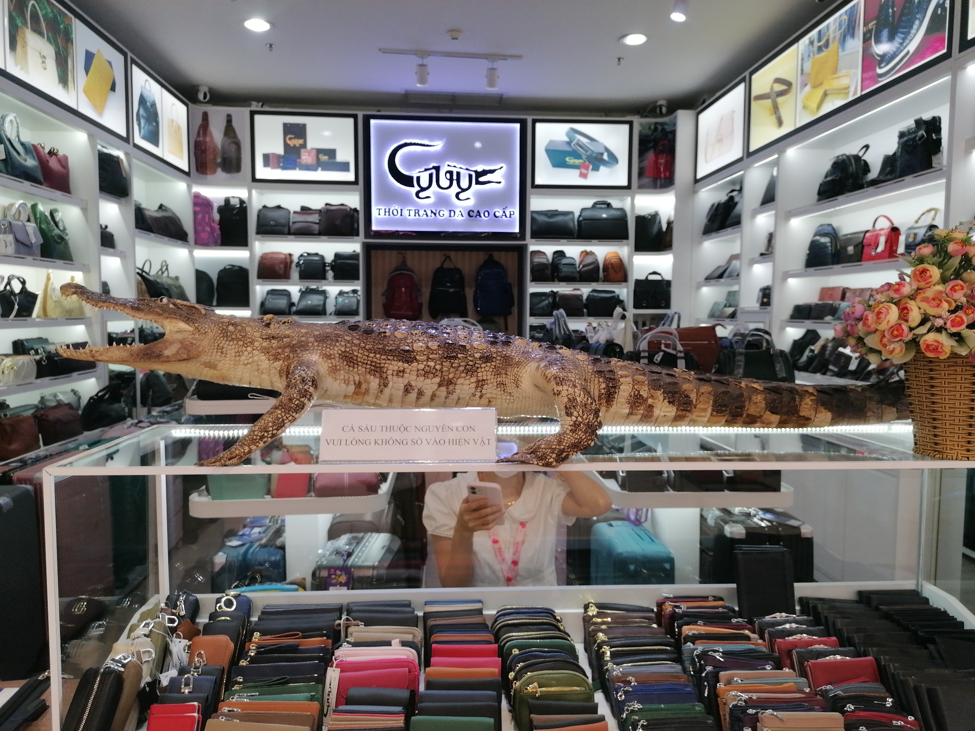 The image shows the interior of a leather goods store, likely in Da Lat, Vietnam based on the sign using Vietnamese. The focus is on a stuffed crocodile displayed on a glass case above rows of wallets in various colors. A sign next to the crocodile is also in Vietnamese. Shelves filled with bags and accessories line the walls of the store. A woman is visible through the glass case, looking at her phone. The lighting is bright and the overall scene is organized and displays the merchandise.