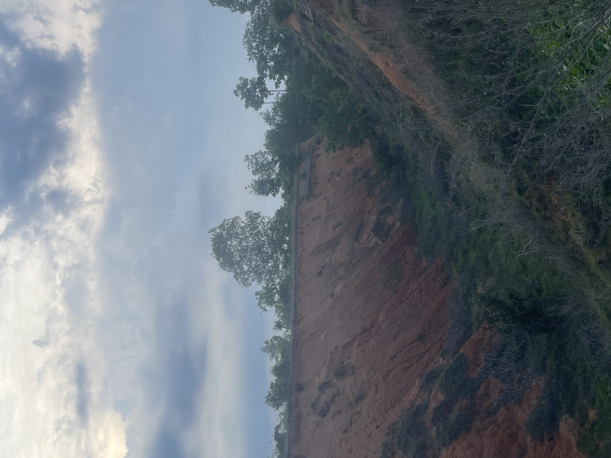 The image shows a steep, eroded hillside with reddish-brown soil and scattered green vegetation. The terrain is uneven and appears to be a natural landscape or a former construction site that has undergone significant erosion. The sky above is overcast with gray and white clouds. Trees and bushes line the top of the hillside. The scene is devoid of any human presence or activity. The location is identified as Phu Thuy Ward, Vietnam, suggesting a rural or semi-rural environment. The overall impression is one of a rugged and untamed natural setting.