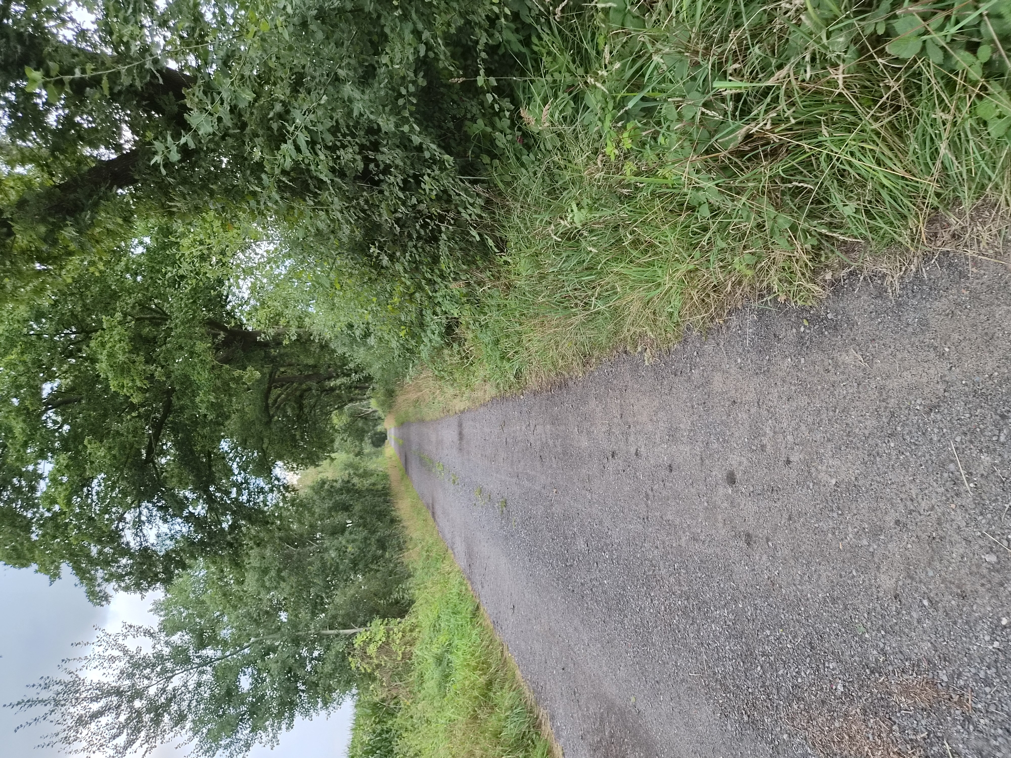 This is a ground-level, eye-level, wide-angle, outdoor shot of a gravel path leading into a dense green forest in Schiffdorf, Germany. The path is in the foreground, taking up the left half of the image, and disappears into the distance. The right side of the image is bordered by thick, lush green foliage and trees. The sky above is overcast and cloudy, with glimpses of blue peeking through. The overall impression is one of a peaceful and secluded natural setting.