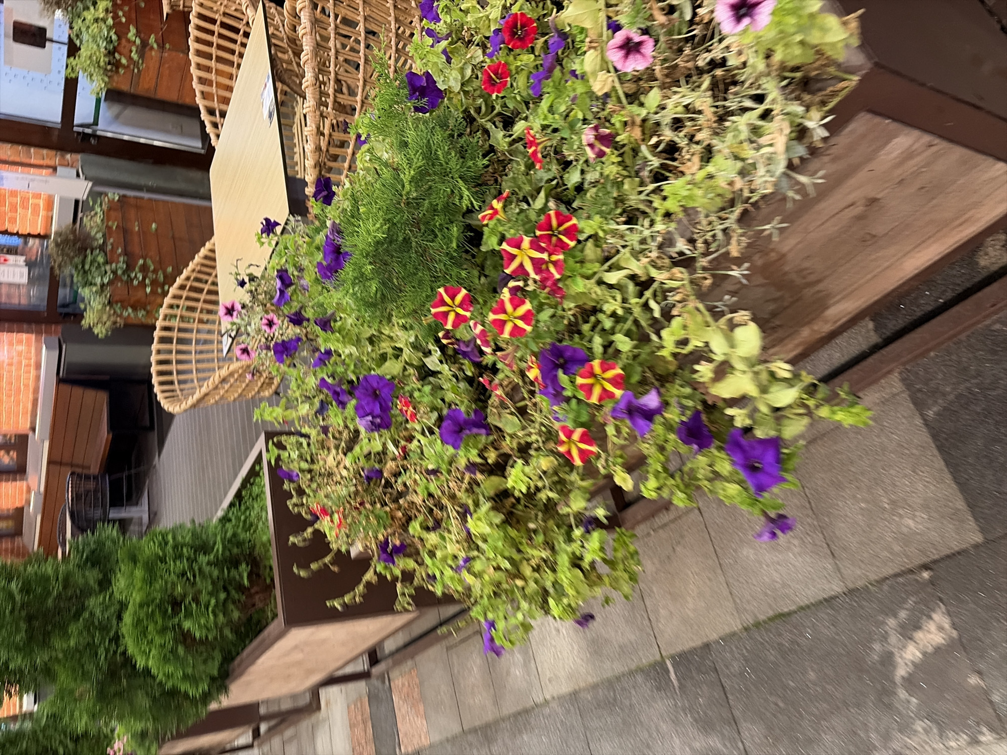 This is an outdoor scene, likely a cafe or restaurant seating area, featuring planters filled with a mix of green foliage and colorful flowers, primarily purple and red and yellow petunias. In the background, there are wicker chairs and tables, as well as wooden benches and planters. The flooring appears to be a paved walkway made of square tiles. The overall impression is of a well-maintained outdoor dining space. There are no people or animals visible in the image. The scene is likely a part of a cafe or restaurant on Tverskaya Street in Moscow, Russia, given the presence of outdoor seating and planters.