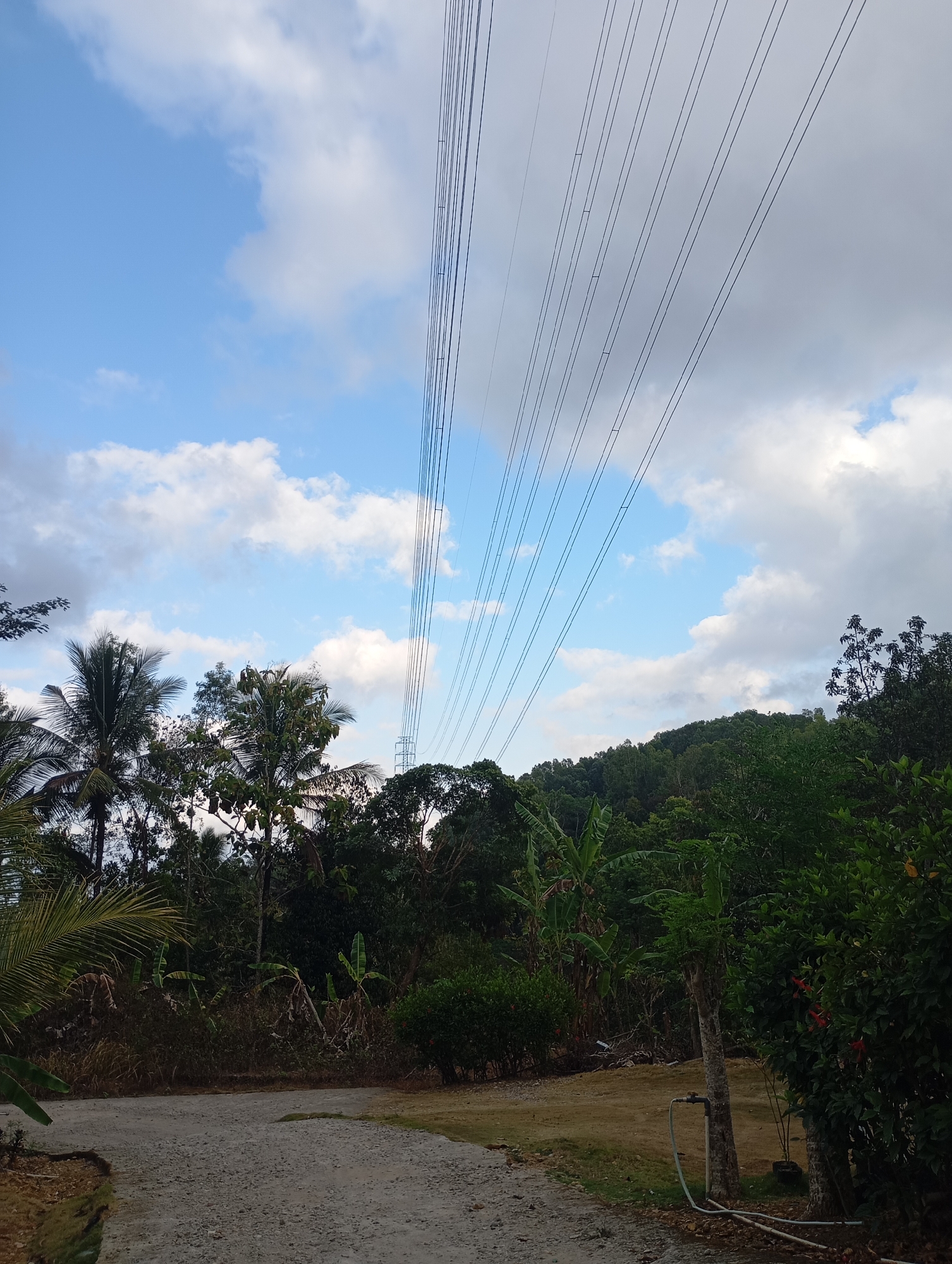 In Ketepung, Indonesia, an outdoor scene is depicted under a partially cloudy sky. In the foreground, a gravel path leads into a lush, green environment. To the left of the path, palm fronds and various other tropical vegetation are visible. Further into the scene, a dense collection of trees, including banana trees, creates a verdant backdrop. A light pole with multiple wires stretching diagonally upwards is a prominent feature against the sky, disappearing towards the upper right of the frame. In the distance, a gently sloping, tree-covered hill dominates the horizon. To the right of the path, a tree stands with a hose and water faucet attached to its base, suggesting some form of irrigation. Red flowers can be seen on a bush to the right. The overall impression is one of a rural or semi-rural setting with natural and man-made elements coexisting.