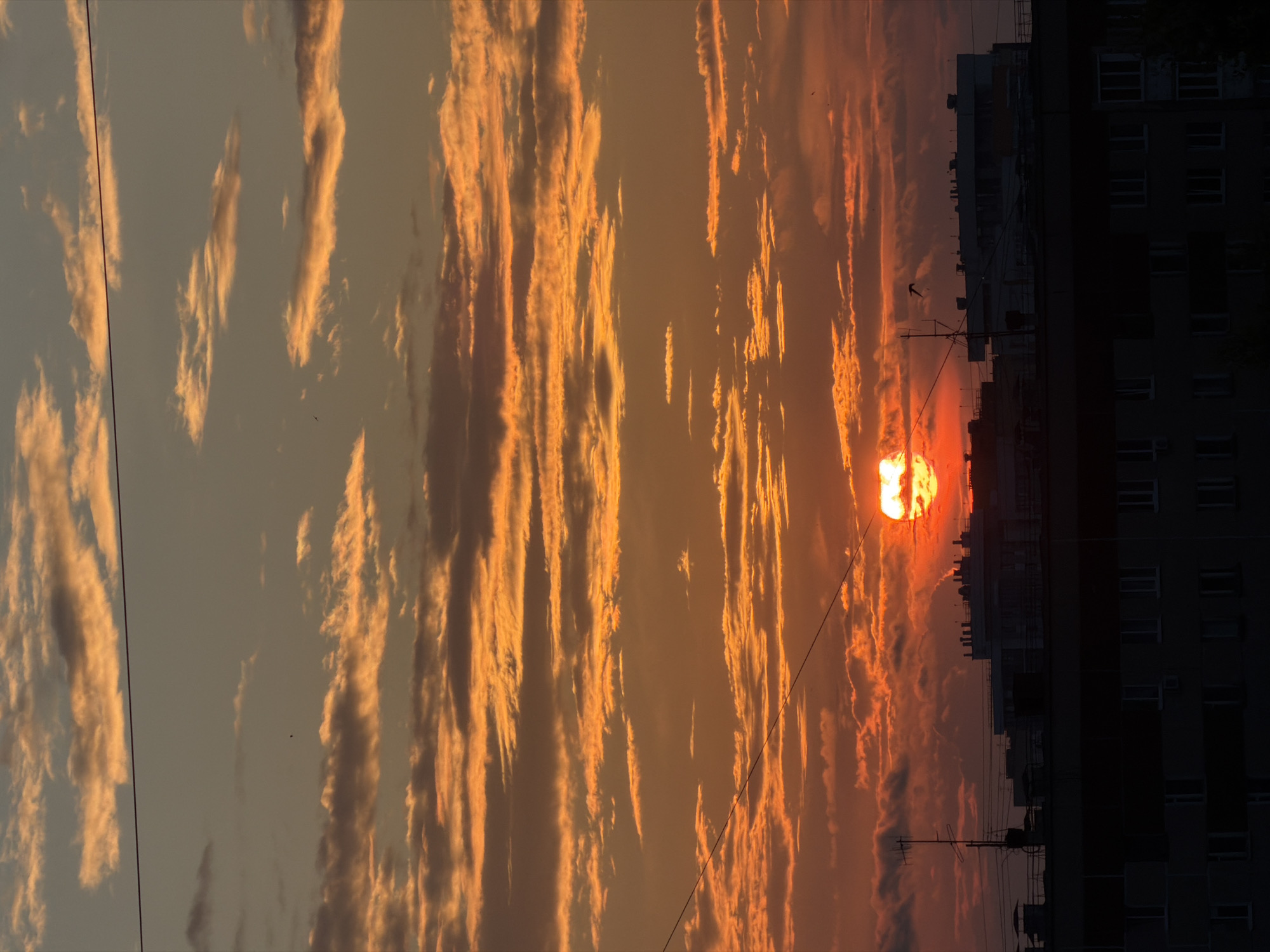 This is a vertical, full-frame, eye-level shot of a sunset over the city of Izhevsk, Russia. The sun is a bright orange orb partially obscured by clouds, casting a warm glow across the sky. The clouds are a mix of orange and gray, with streaks of lighter orange highlighting their edges. The sky transitions from a deep orange at the horizon to a lighter, grayish-blue at the top of the frame. A thin, dark power line runs horizontally across the upper portion of the image.
In the lower half of the frame, the silhouettes of buildings are visible against the vibrant sky. These buildings appear to be apartment blocks, with visible windows and rooftop structures. One building in the center features a prominent antenna. There are also dark, silhouetted shapes on the rooftops, possibly ventilation units or other mechanical equipment. A small, dark bird is visible in flight against the sunset, to the right of the antenna. The overall impression is one of an urban landscape at dusk, bathed in the dramatic light of a setting sun.
