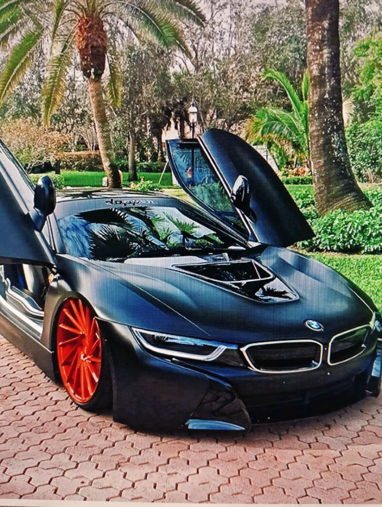 The image shows a black BMW i8 with its butterfly doors open, parked on a red paver driveway. The car has vibrant orange rims. In the background, there are palm trees, lush green grass, and dense foliage, suggesting a tropical or sub-tropical environment. The lighting indicates it is daytime. The image does not provide any information about the city of Sluck, Belarus, or any context related to that location.