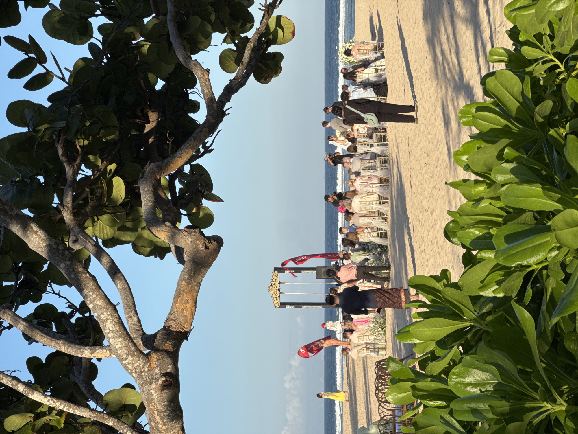 This is a full, eye-level shot of a beach wedding in Kuta Selatan, Indonesia. The foreground is dominated by lush green foliage, casting dappled shadows on the sandy beach. A large tree with rough, textured branches and green leaves arches over the scene from the top left.
In the middle ground, a wedding ceremony is taking place on the sand. A decorative archway, adorned with gold detailing and hanging elements, stands behind the officiant and the couple, who are facing each other. A crowd of wedding guests is seated in rows of white chairs, some facing the ceremony, others with their backs to the camera.
Several people are standing and moving around the ceremony area. Two photographers are visible with cameras. Red flags with white designs are positioned on either side of the archway.
Further back, the ocean stretches to the horizon, with gentle waves lapping at the shore. The sky is a clear, bright blue. On the left side of the beach, a woman in a bright yellow dress walks away from the ceremony. The overall atmosphere is serene and celebratory.