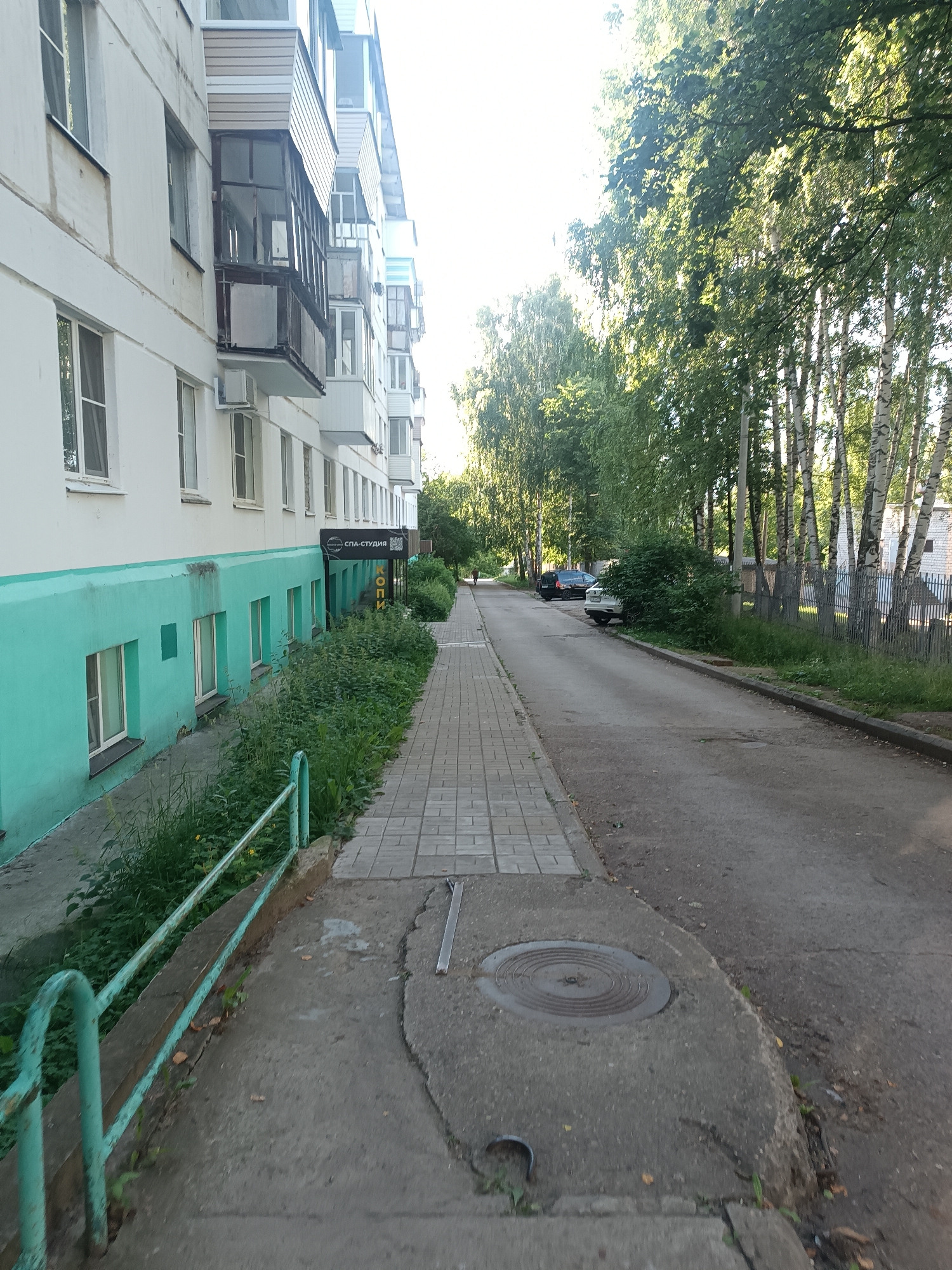 The image shows a street scene in the city of Chaikovsky, Russia. On the left is a multi-story residential building with white and teal colored walls, featuring balconies and windows. In front of the building is a sidewalk made of grey square tiles, bordered by a teal metal railing and overgrown green vegetation. A sign for "SPA-STUDIO" is visible on the building. The street itself is paved with asphalt and lined with trees, predominantly birches. Several cars are parked along the street, including a white sedan and a black van. In the foreground, a manhole cover is set into the concrete sidewalk. The overall scene depicts a typical urban environment on a sunny day.