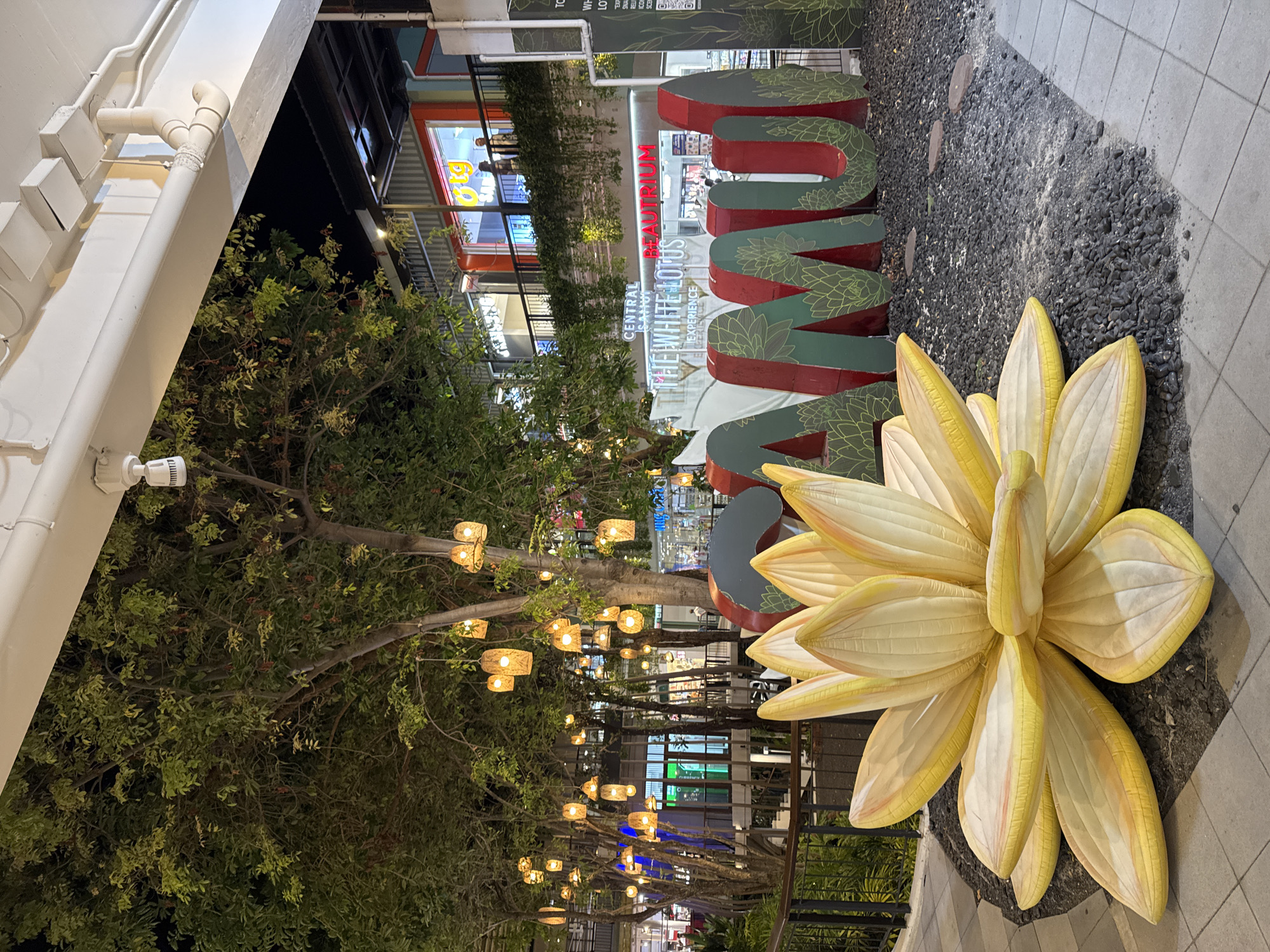 The image shows an outdoor scene in Baan Chaweng, Thailand. A large, stylized, three-dimensional sign that says "SAMUI" stands next to an oversized yellow lotus flower sculpture on a bed of dark gravel. Behind the sign, a multi-story shopping complex with brightly lit storefronts is visible. Trees adorned with lantern-like lights line the walkway. A white building with exposed piping is on the left.