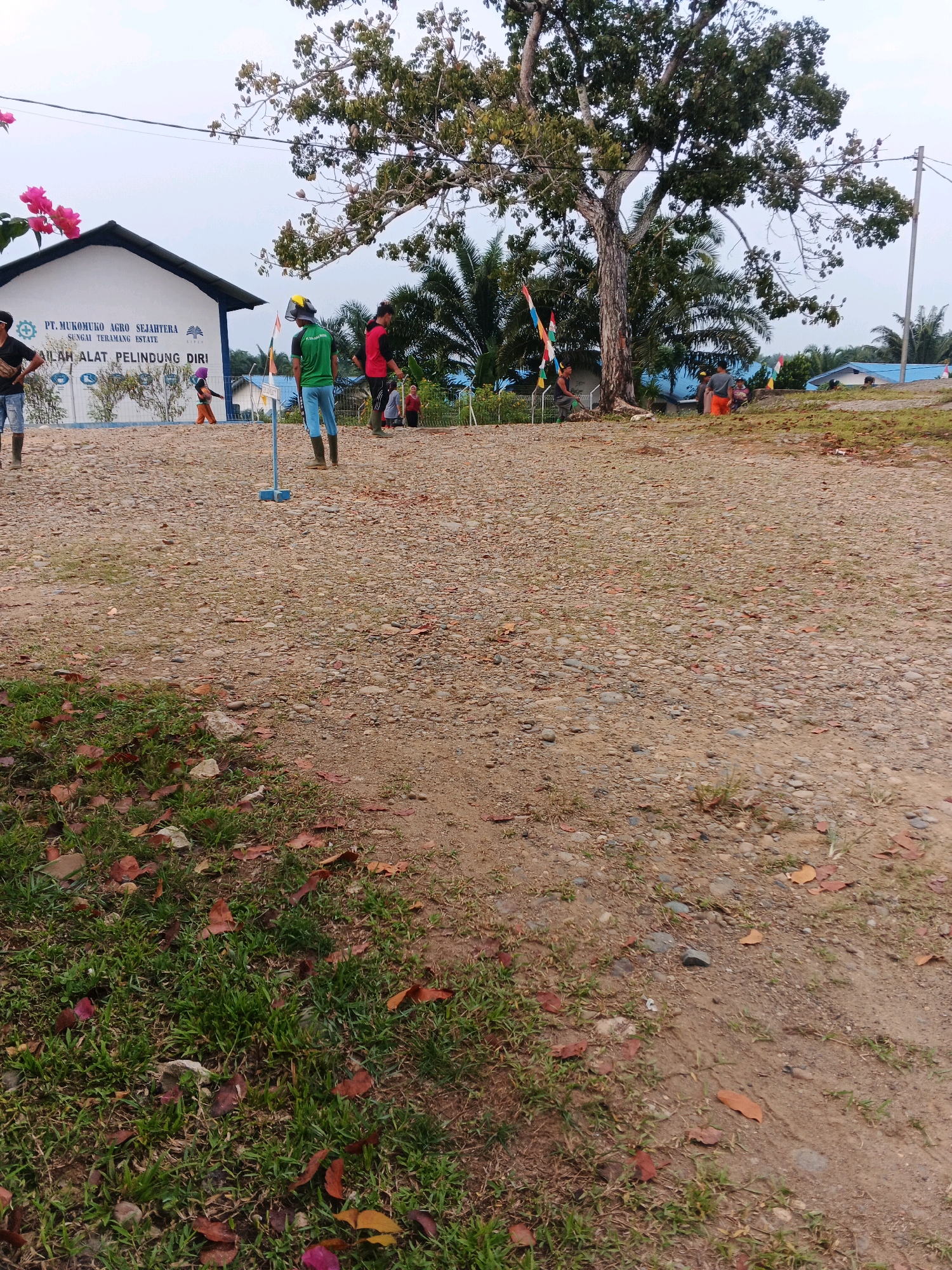 The image depicts an outdoor scene in Batu Ejung, Indonesia. In the background, a white building with a dark roof is visible, bearing the text "PT. MUKOMUKO AGRO SEJAHTERA" and "SUNGAI TERAMANG ESTATE". Several people are scattered across a dirt and gravel area in front of the building. Two individuals in green and red shirts appear to be interacting, while others stand or walk around. Some are wearing work attire, including boots and what might be safety helmets. A large tree with a dense canopy dominates the middle ground, with palm trees and other vegetation visible further back. Small flags on poles are also present in the scene. The foreground shows patches of grass with fallen leaves, interspersed with dirt and pebbles. The sky is overcast.