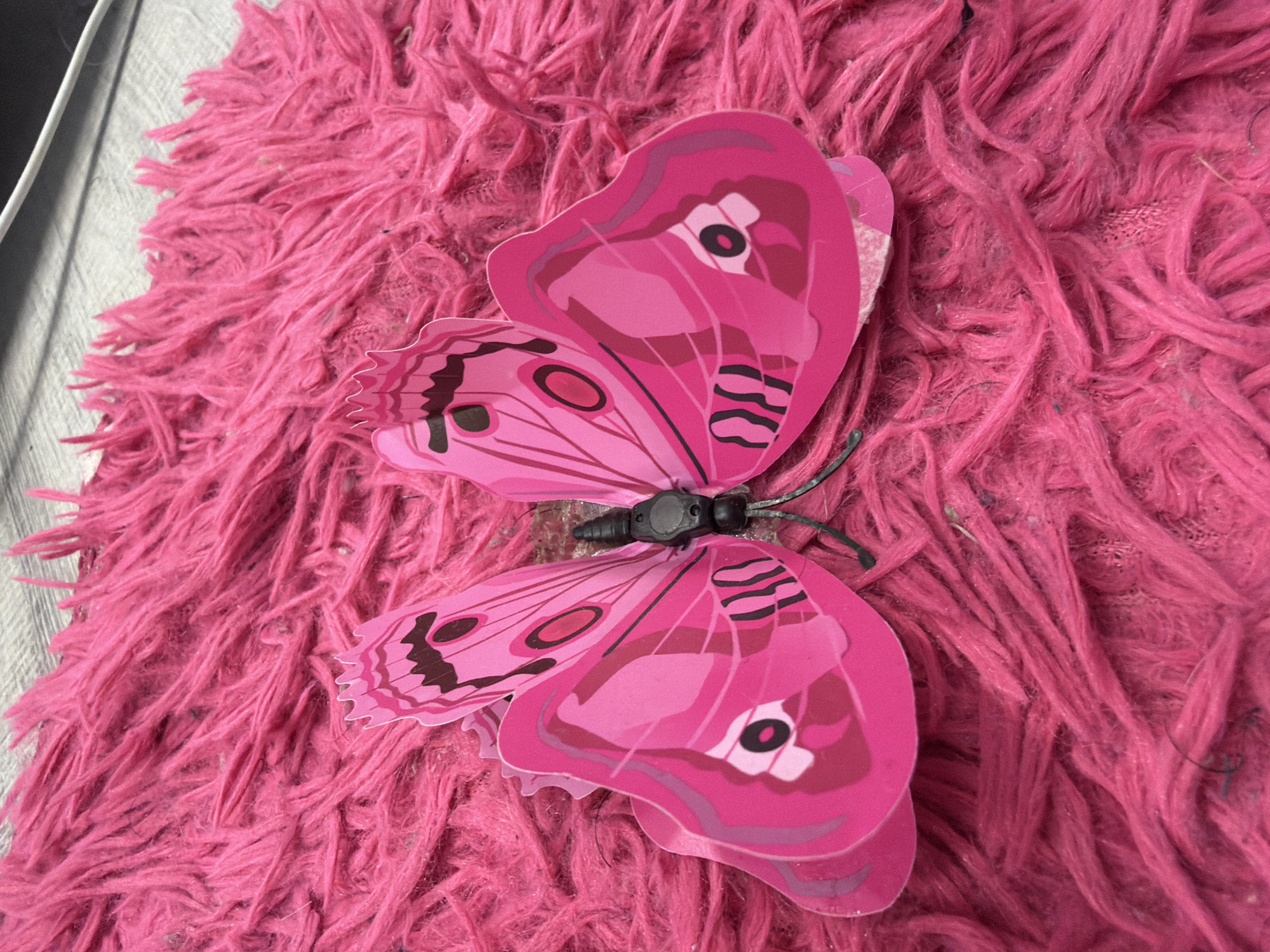 The image displays a close-up, eye-level shot of a bright pink, fluffy textile, possibly a rug or blanket. A decorative pink butterfly, likely made of paper or thin plastic, is positioned centrally on the textile, with its wings spread. The butterfly has intricate black and darker pink patterns on its wings, resembling eyespots and veins. Its body appears to be a dark, possibly black, component with visible wire-like appendages extending downwards. The lighting suggests an indoor setting, with some shadows cast by the butterfly and the texture of the textile. There is no information available regarding the location in Kyiv, Ukraine, as the image itself does not contain any discernible landmarks or contextual clues to support this claim.