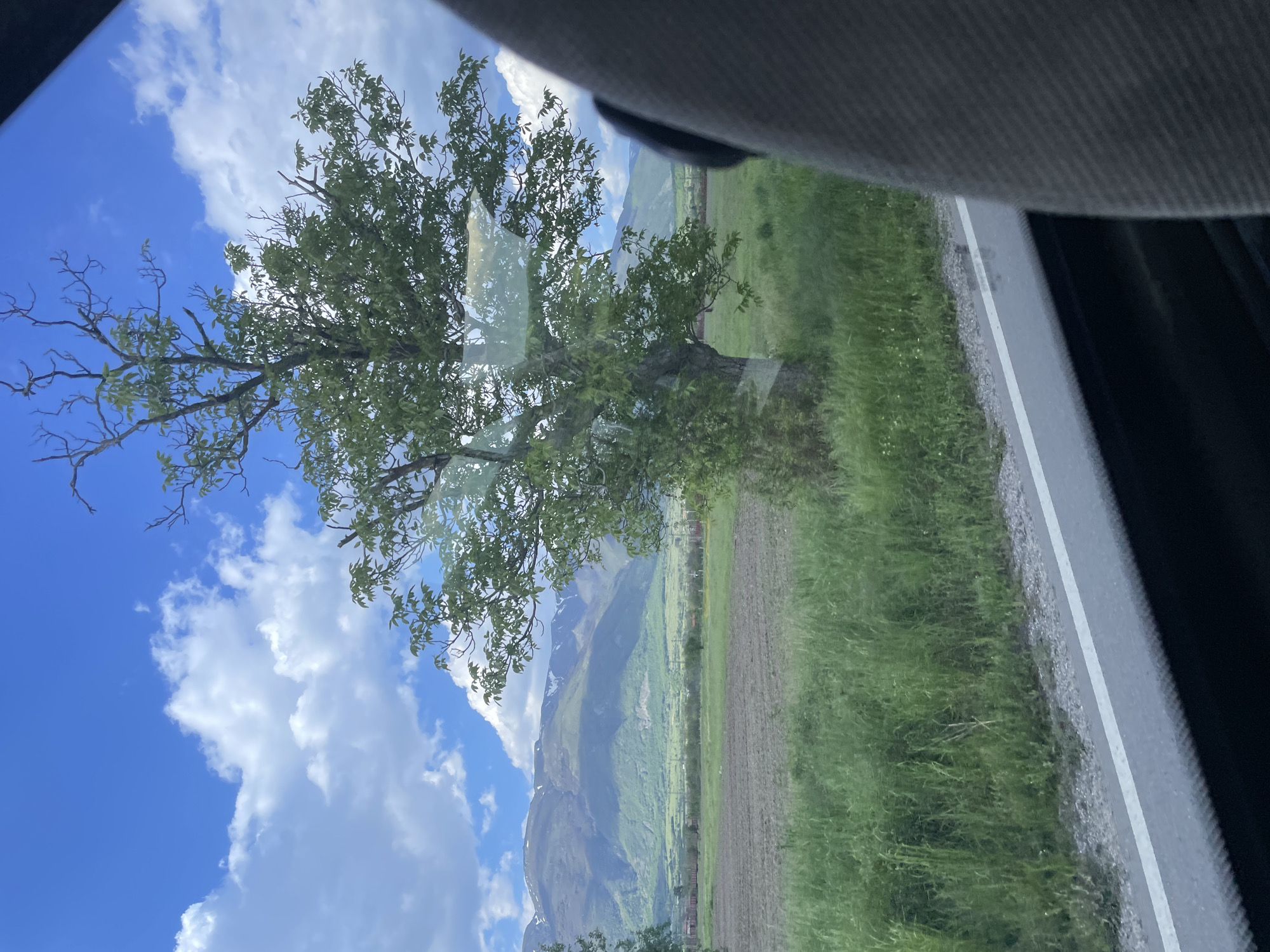 The image, taken from inside a vehicle, shows a landscape scene in Marino Pole, Bulgaria. A tree stands prominently beside a road, partially obscuring a view of mountains in the background. The sky is blue with scattered clouds. The landscape includes fields and grassland. The vehicle interior is visible at the top and right edges of the frame.