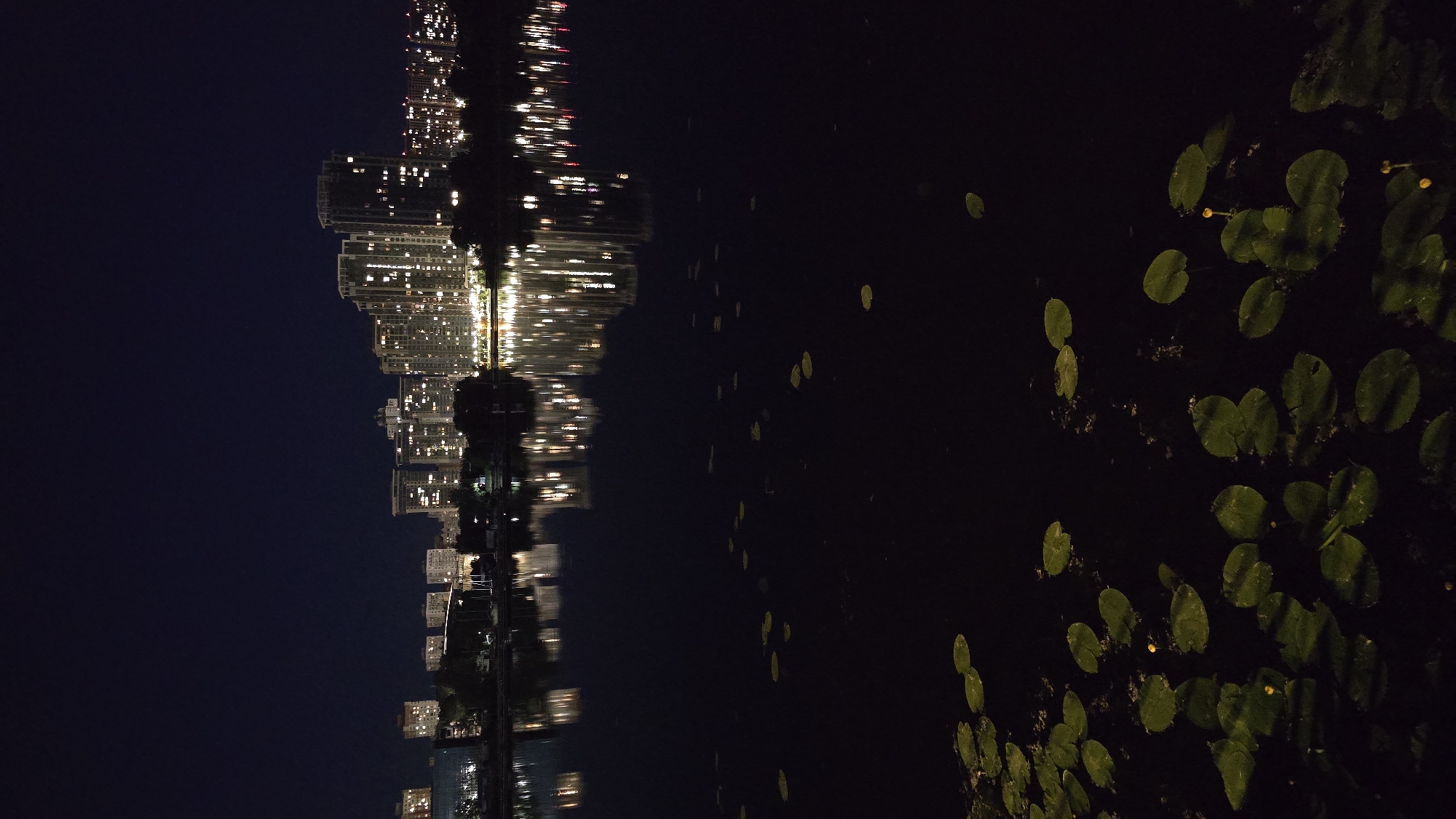 This nighttime vertical shot depicts a cityscape reflected in a calm body of water, likely a lake or wide river, in an unidentified urban location. The sky is a deep, dark blue-black. On the horizon, a dense collection of multi-story buildings, primarily modern high-rises, illuminate the scene with numerous warm yellow and white lights emanating from their windows. The buildings cluster more densely towards the right side of the frame, with varying architectural styles and heights. Interspersed among the structures, dark silhouettes of trees and other landscaping are discernible. On the far left, a lower structure with a distinctive white roof and several vertical mast-like elements suggests a marina or waterfront facility.
The middle section of the image features the dark, reflective water, which acts as a mirror, showing clear, slightly elongated reflections of the illuminated buildings and their individual lights. These reflections create a symmetrical, shimmering pattern on the water's surface.
In the foreground and extending into the mid-water, numerous dark green, circular lily pads or similar aquatic foliage float on the surface. These plants are more concentrated towards the bottom of the frame, with some scattered further into the water. A few of these plants exhibit small, yellow-orange buds or flowers. No people, animals, or explicit actions are visible within the frame. The scene conveys a tranquil, illuminated urban evening.