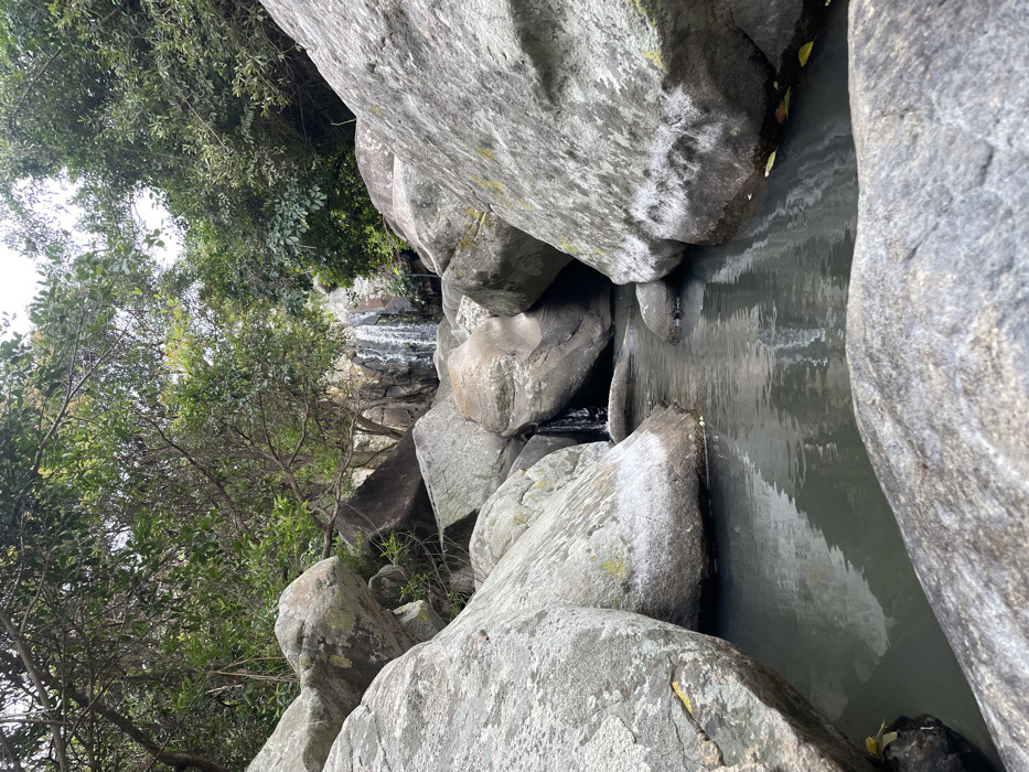 The image depicts a natural, rocky stream environment within Ninh Hòa, Vietnam. Numerous large, irregularly shaped grey boulders, exhibiting varied textures and some patches of lighter discoloration, dominate the foreground and midground. These boulders partially enclose a dark, calm body of water, which reflects the surrounding rock formations and overhead foliage. A small stream of water flows between two central boulders into this main water body. In the background, a multi-tiered waterfall cascades down a rocky cliff face, feeding the stream system. Dense green foliage and tree branches with visible leaves frame the scene from above and along the edges, indicating a lush, vegetated environment. The sky appears overcast through the tree canopy. No people, animals, or man-made objects are visible.