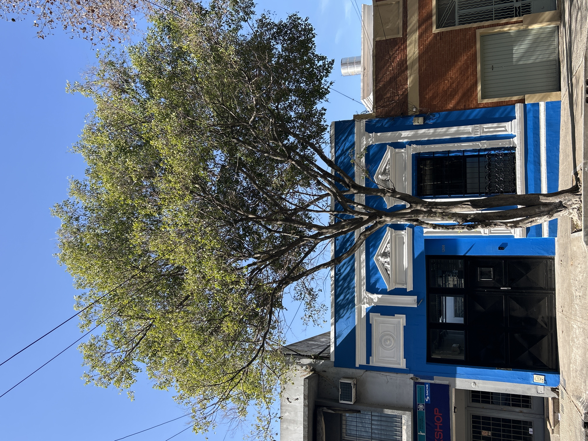 The image depicts a street scene in Buenos Aires, Argentina, under a clear blue sky. A large tree with green foliage dominates the foreground, its branches extending across the frame. Behind the tree, a bright blue building with white architectural detailing stands prominently. The building features a large black double door and a window with a black metal grate. To the left of the blue building is a gray facade with a window and an air conditioning unit. To the right, a brick building with a light-colored garage door is visible. Electrical wires are strung across the sky. The scene appears to be a residential or commercial street, captured during daylight.