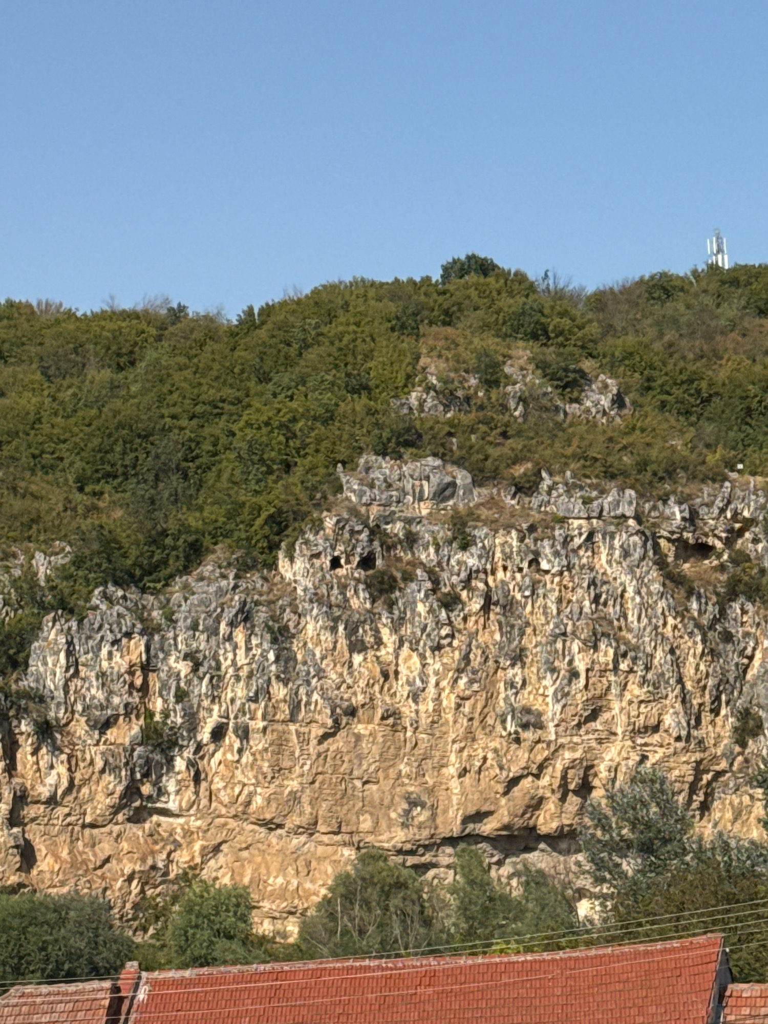 The image shows a rocky cliff face with sparse vegetation. There are several small cave openings visible in the cliff. The top of the cliff is covered with dense green trees. In the background, a clear blue sky is visible, with a white telecommunications tower on the far right. In the foreground, the edge of a red tiled roof can be seen, suggesting a human settlement nearby. This scene is likely located in the vicinity of Koshov, Bulgaria, a region known for its natural landscapes and rock formations.
