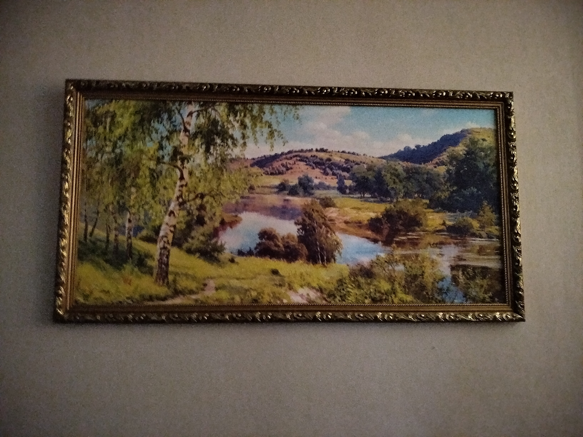 The image shows a framed painting of a landscape scene hanging on a textured gray wall. The painting depicts a body of water, possibly a river or lake, with reflections of trees and sky. Rolling hills covered with trees and vegetation form the background. In the foreground, there are trees, one with a distinctive white trunk, and grassy areas. The frame is ornate and appears to be gold-colored. The location is identified as Nizhnedonskoy, Russia, but there are no specific landmarks or details in the painting to confirm this location. The scene is static, with no people or animals visible. The lighting suggests it is daytime.