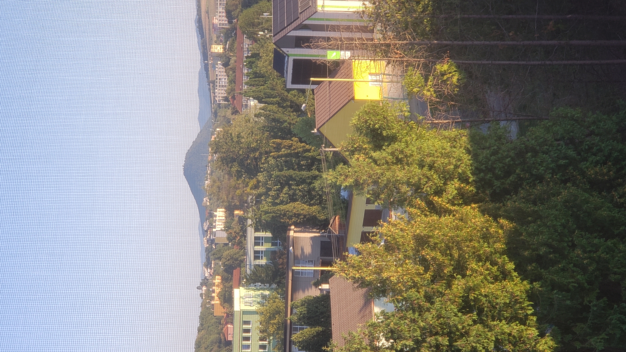 This is a vertical, high-angle photograph of a residential area in Prešov, Slovakia, likely taken from a window with a visible screen mesh. The scene depicts a collection of buildings nestled amongst dense greenery. In the foreground, mature trees with lush green foliage dominate the lower half of the frame, with some illuminated by sunlight. Behind the trees, several residential buildings of varying sizes and architectural styles are visible. These include what appear to be two-story houses with brown and yellow exteriors, and larger, multi-story structures that might be apartment buildings or schools, some with light green or beige facades. Further in the background, a prominent conical hill topped with what appears to be a structure, possibly a broadcast tower, rises above the urban landscape. The sky is a clear, pale blue, with a hazy, distant horizon. The overall impression is of a suburban or semi-urban environment on a clear day.
