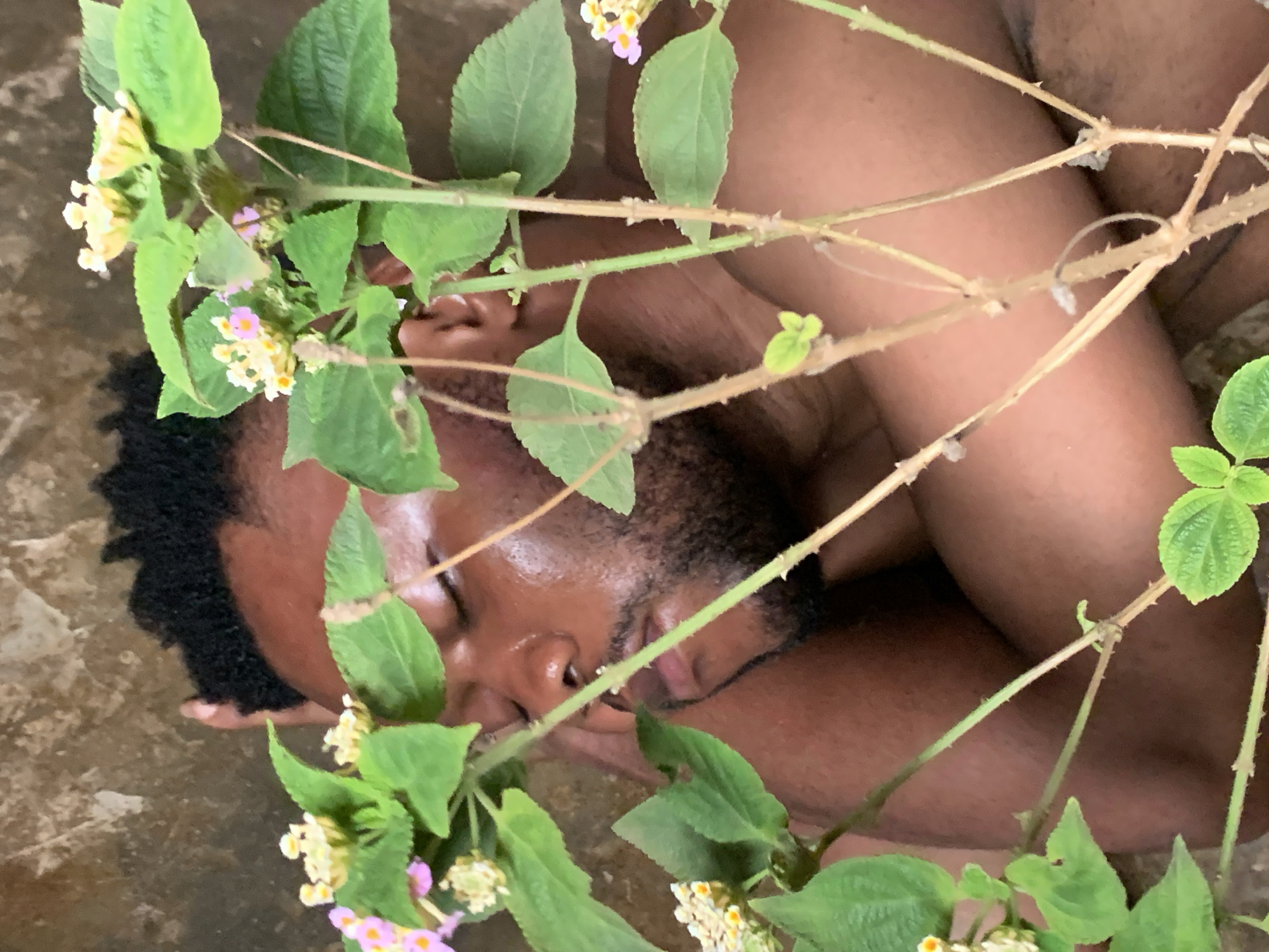 A close-up photograph depicts a dark-skinned man lying on a textured surface, possibly concrete or stone, partially obscured by a flowering plant. The man's head is turned to the side with his eyes closed, suggesting sleep or rest. The plant features green leaves and clusters of small, colorful flowers, some white and others with hints of pink or purple. The background is blurred, but appears to be a textured surface. The image does not contain definitive information to confirm the location in Ikorodu, Nigeria.