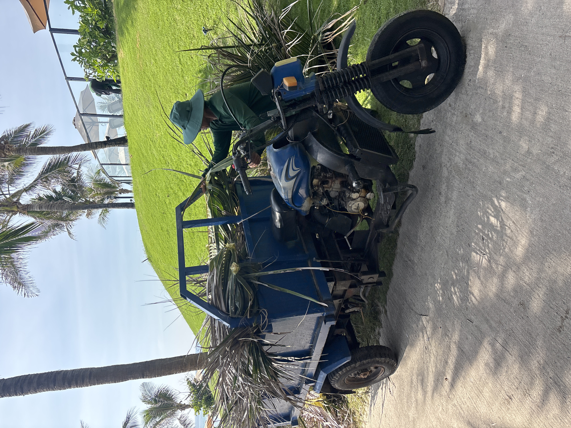 A person in a green hat and green shirt is standing next to a blue three-wheeled vehicle, loading palm fronds into the back. The vehicle has a blue cargo bed and a motorcycle front end with a black fender and a black tire. The person is positioned on the right side of the vehicle, with their hands near the front of the cargo bed. The vehicle is on a paved pathway, and a grassy hill with palm trees is visible in the background. The sky is blue and clear.