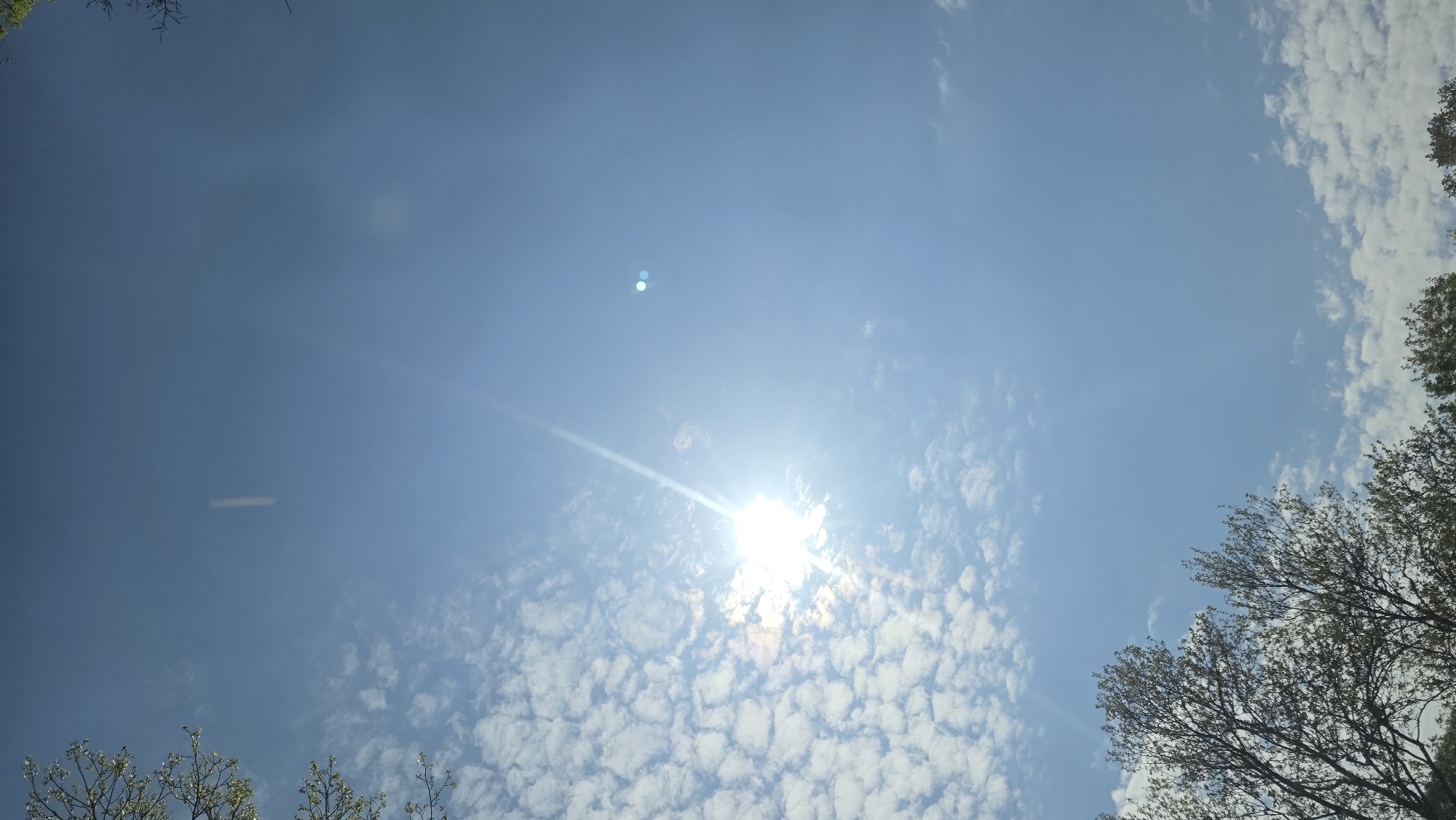 The image shows a clear, blue sky with scattered altocumulus clouds and the sun shining brightly, creating a lens flare effect. Tree branches are visible along the edges of the frame, suggesting the image was taken from a ground-level perspective. The location, Stara Kresna, Bulgaria, cannot be independently verified from the image content alone.